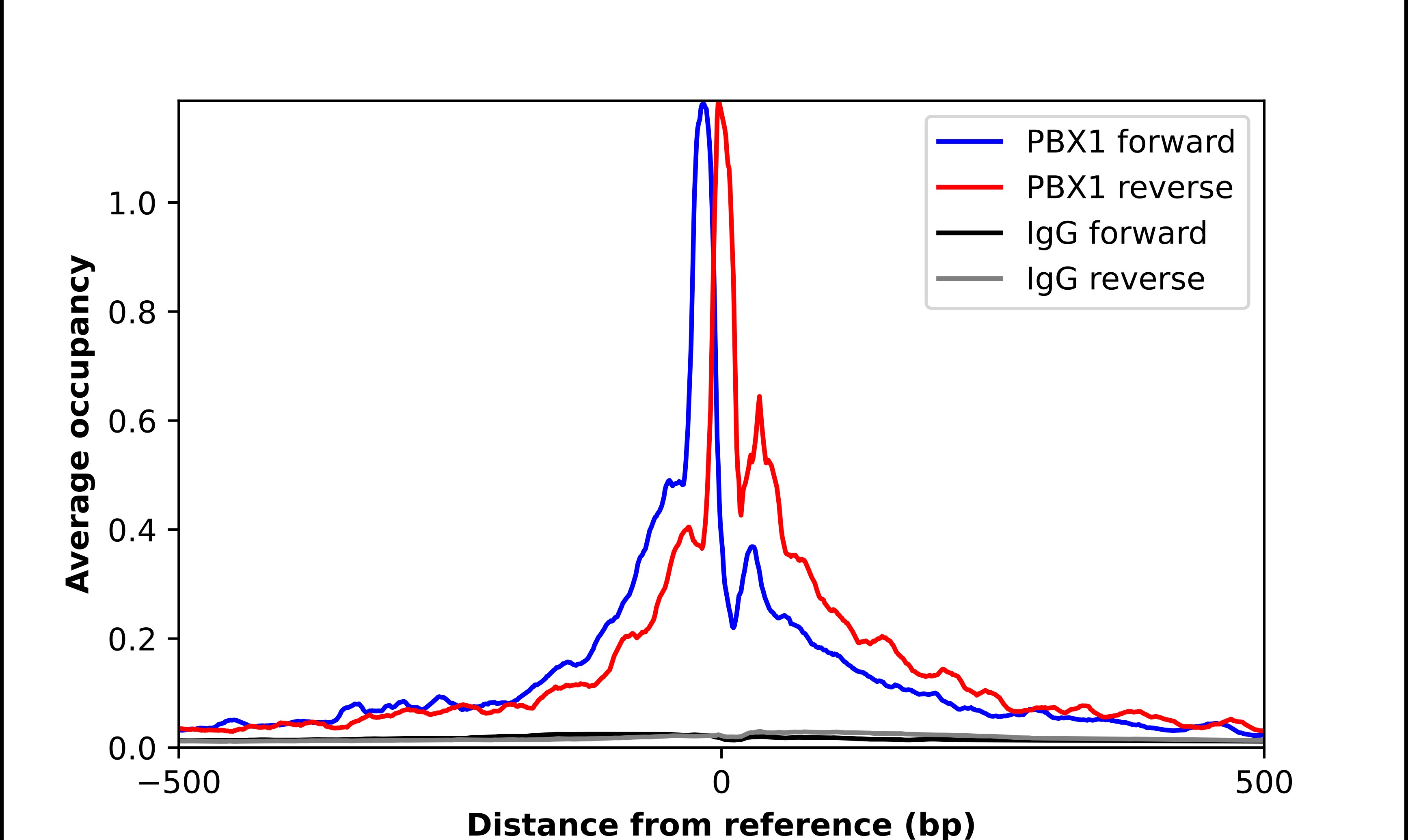 PBX1 Antibody - BSA Free Chromatin Immunoprecipitation-exo-Seq: PBX1 Antibody - BSA Free [NBP1-86151]