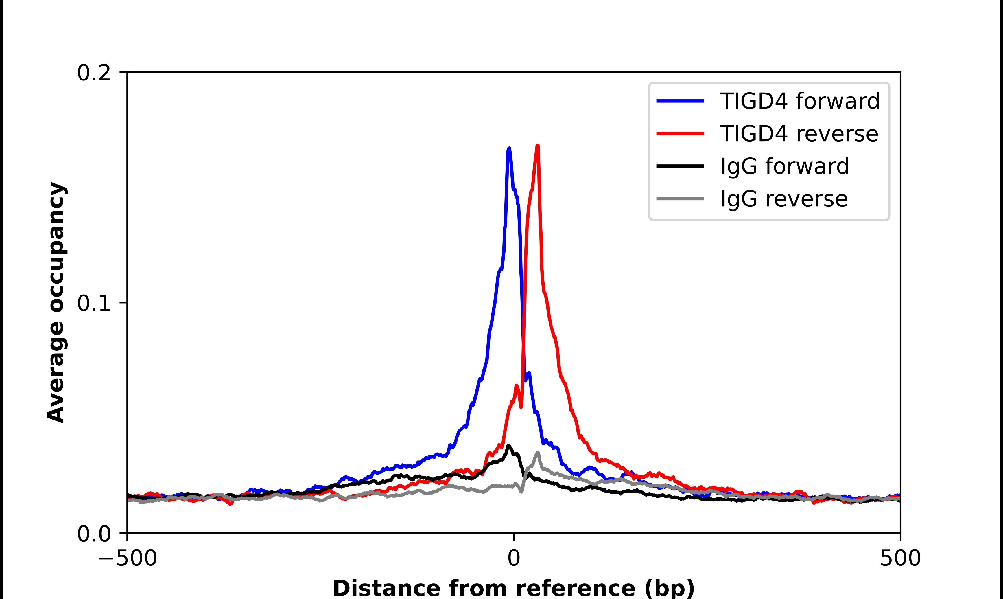 TIGD4 Antibody - BSA Free Chromatin Immunoprecipitation ChIP: TIGD4 Antibody - BSA Free