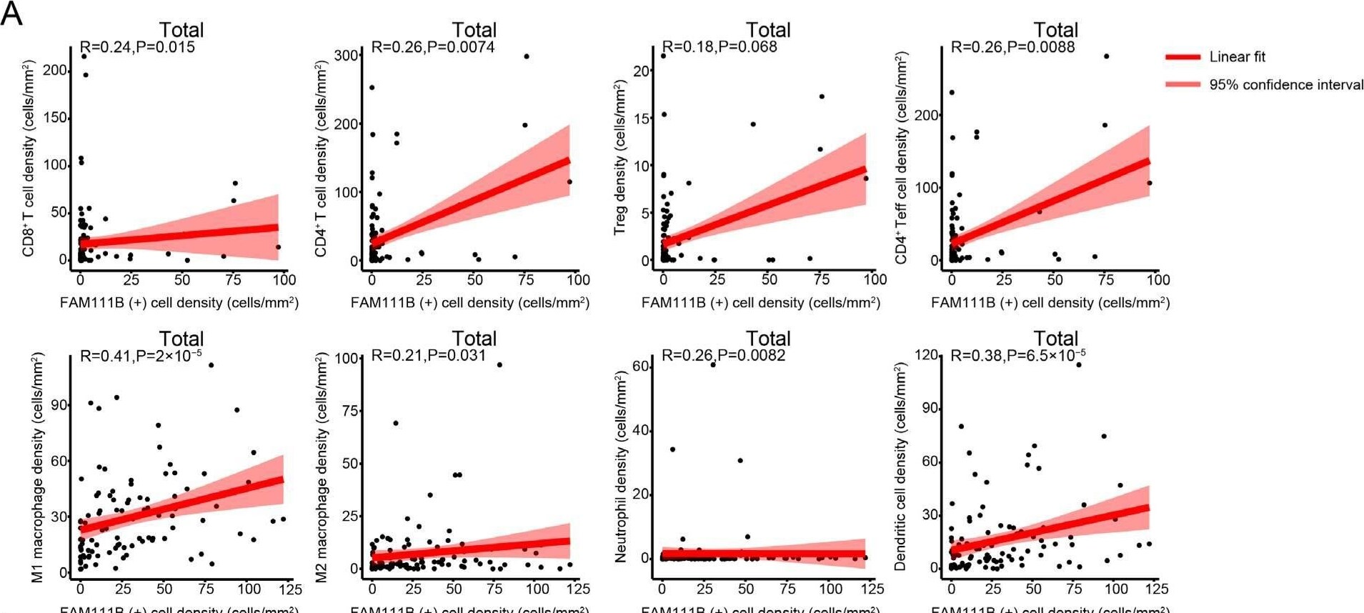 FAM111B Antibody - BSA Free