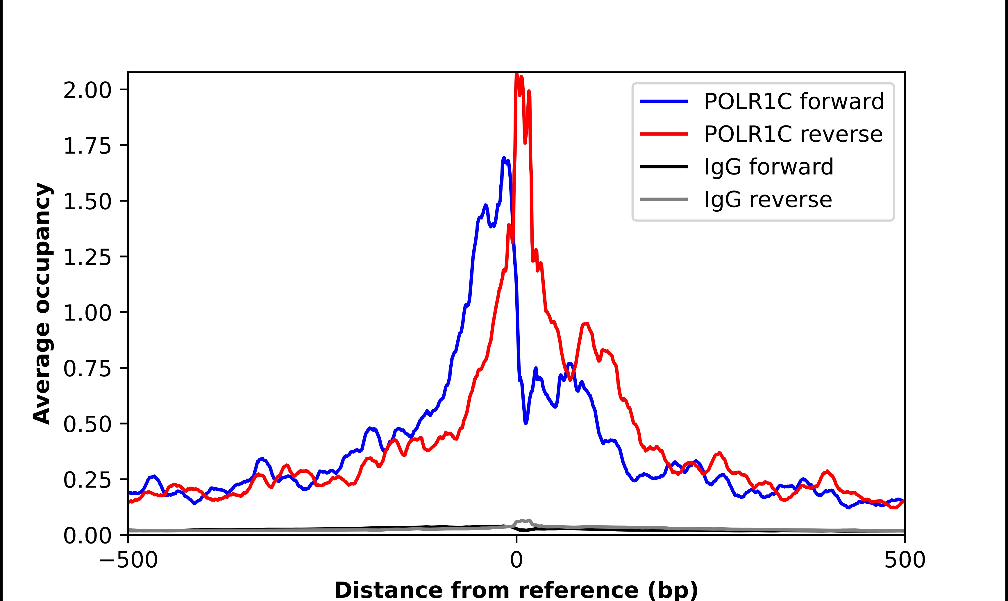 POLR1C Antibody - BSA Free Chromatin Immunoprecipitation-exo-Seq: POLR1C Antibody - BSA Free [NBP1-87114]