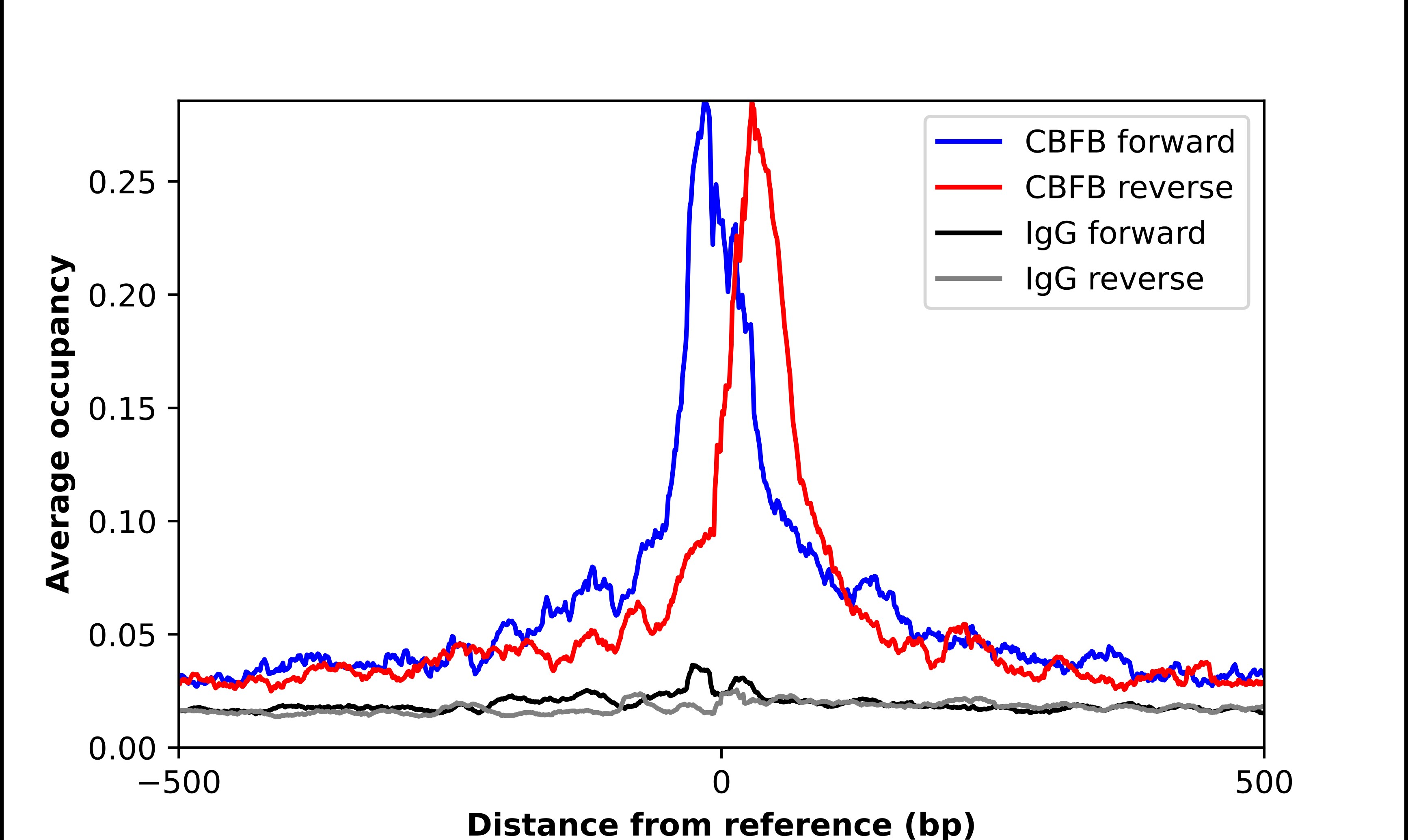 CBFB Antibody - BSA Free Chromatin Immunoprecipitation-exo-Seq: CBFB Antibody - BSA Free [NBP1-87300]