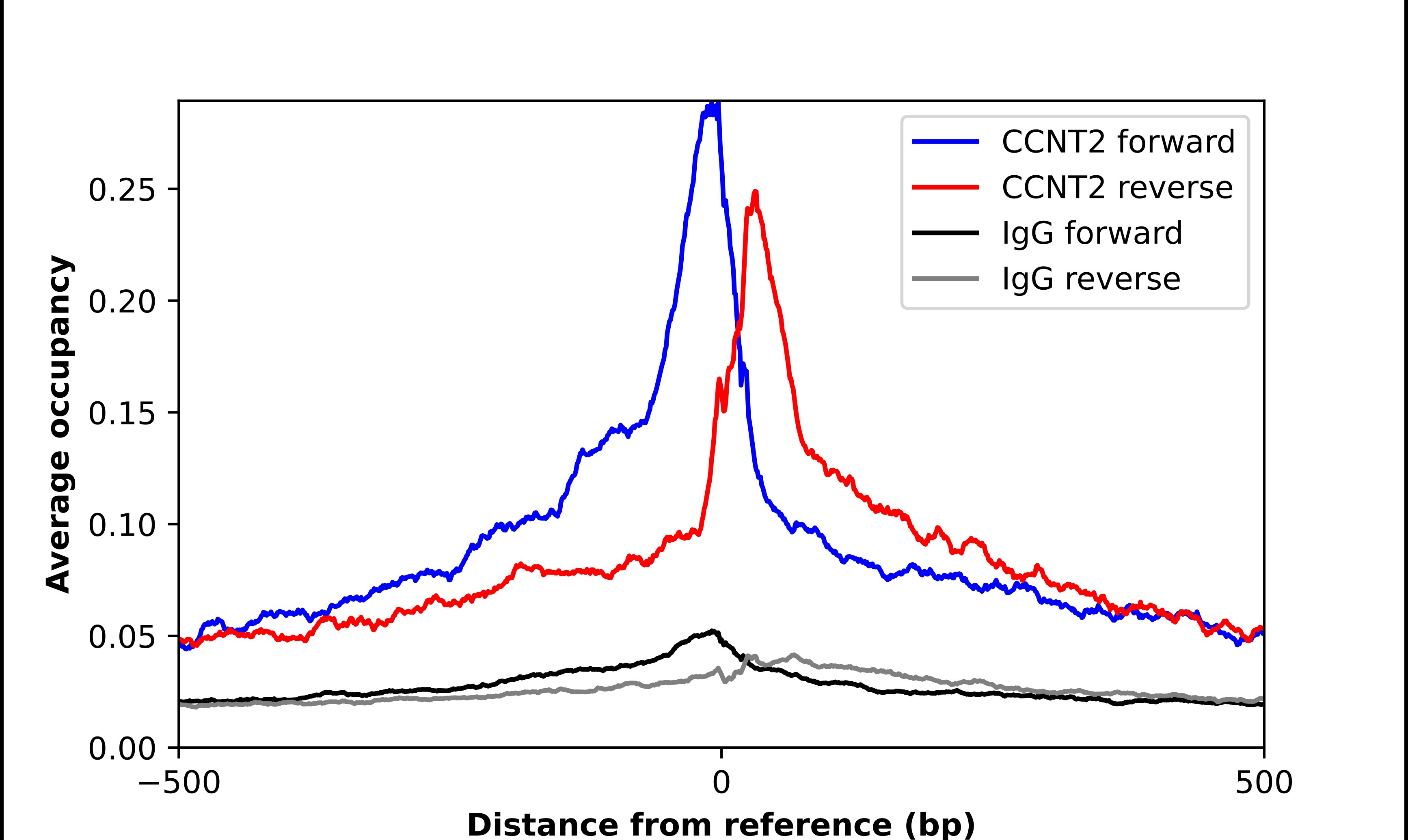 Cyclin T2 Antibody - BSA Free Chromatin Immunoprecipitation-exo-Seq: Cyclin T2 Antibody - BSA Free [NBP1-87592]