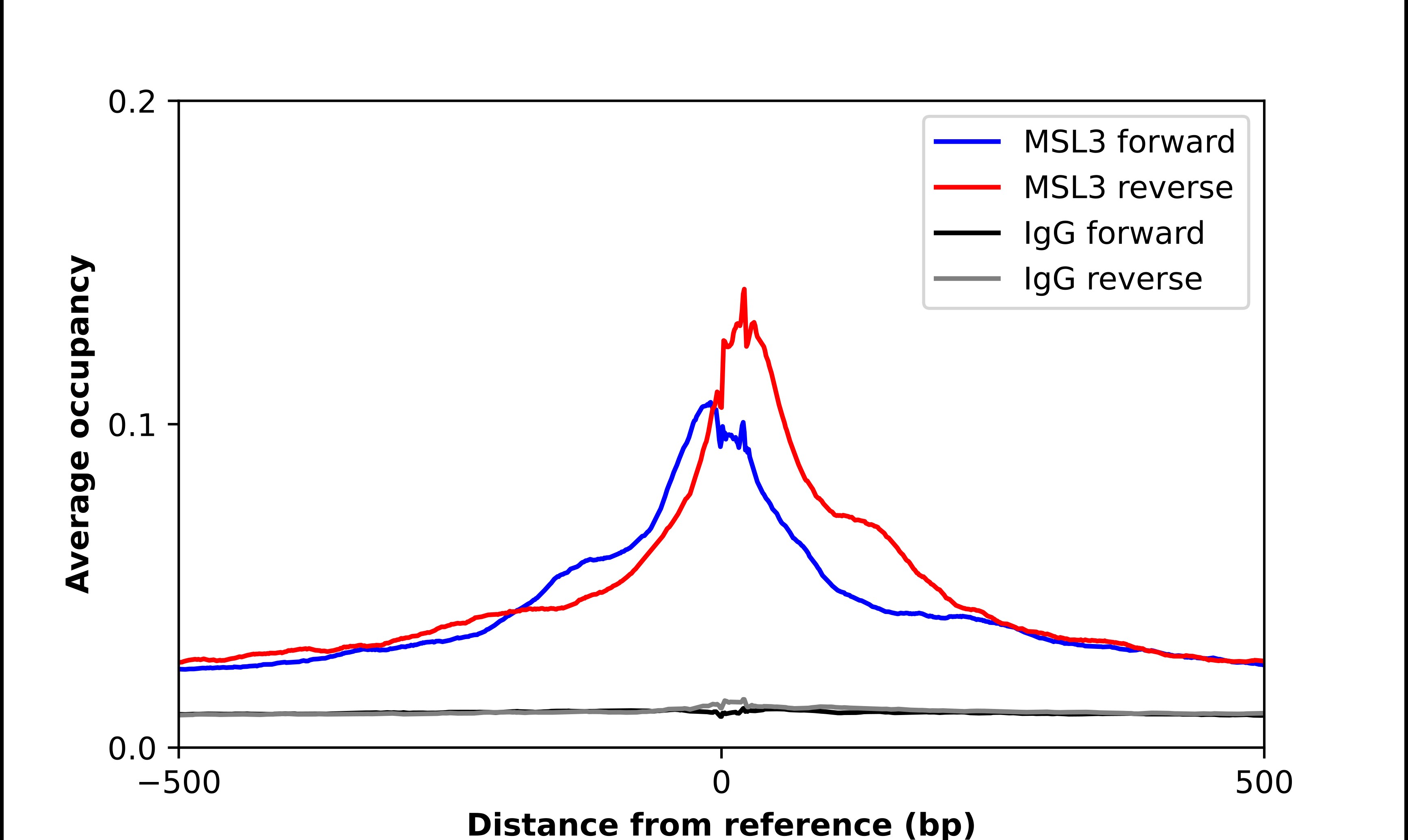 MSL3L1 Antibody - BSA Free Chromatin Immunoprecipitation ChIP: MSL3L1 Antibody - BSA Free