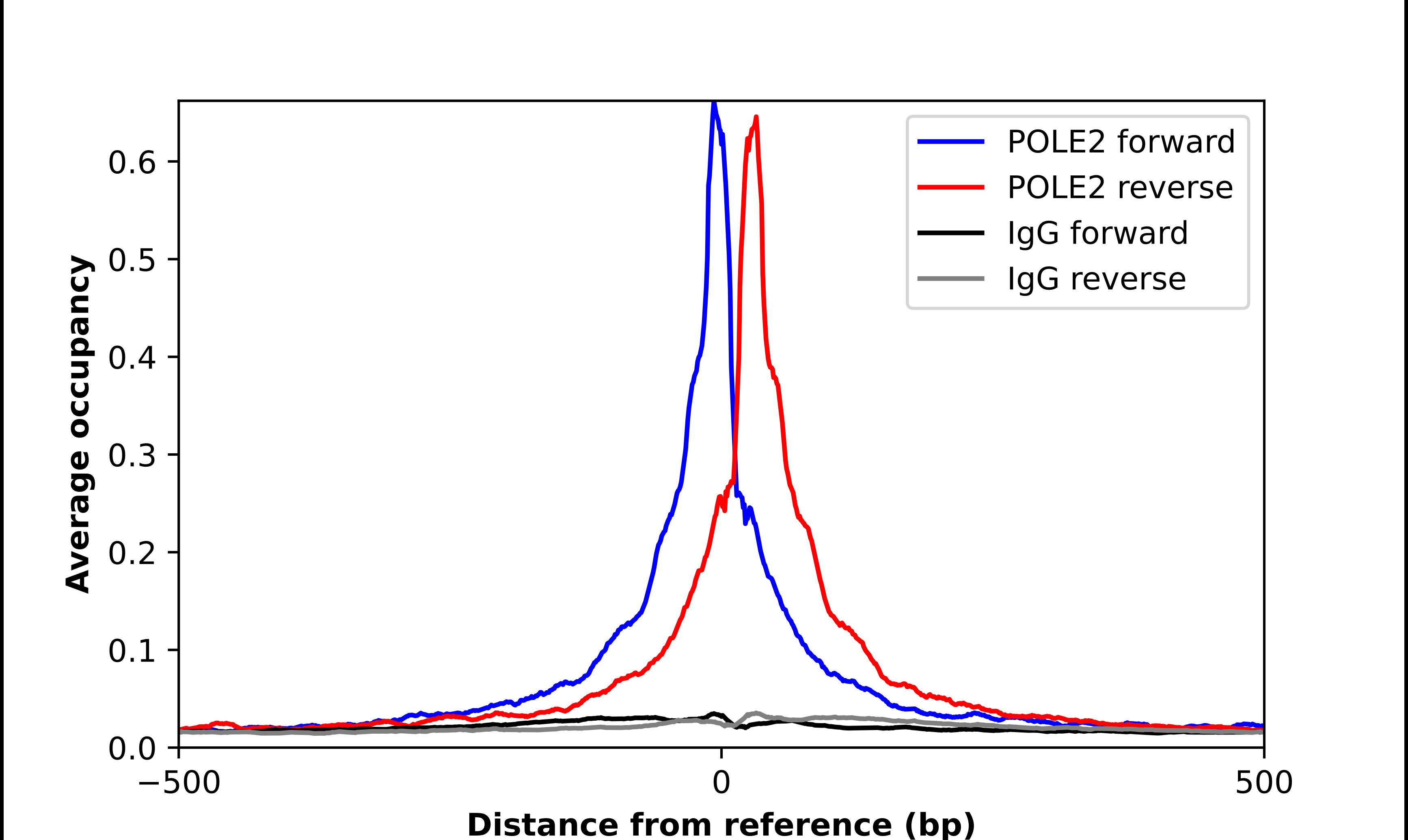 DNA Polymerase epsilon p59 Antibody - BSA Free Chromatin Immunoprecipitation ChIP: DNA Polymerase epsilon p59 Antibody - BSA Free