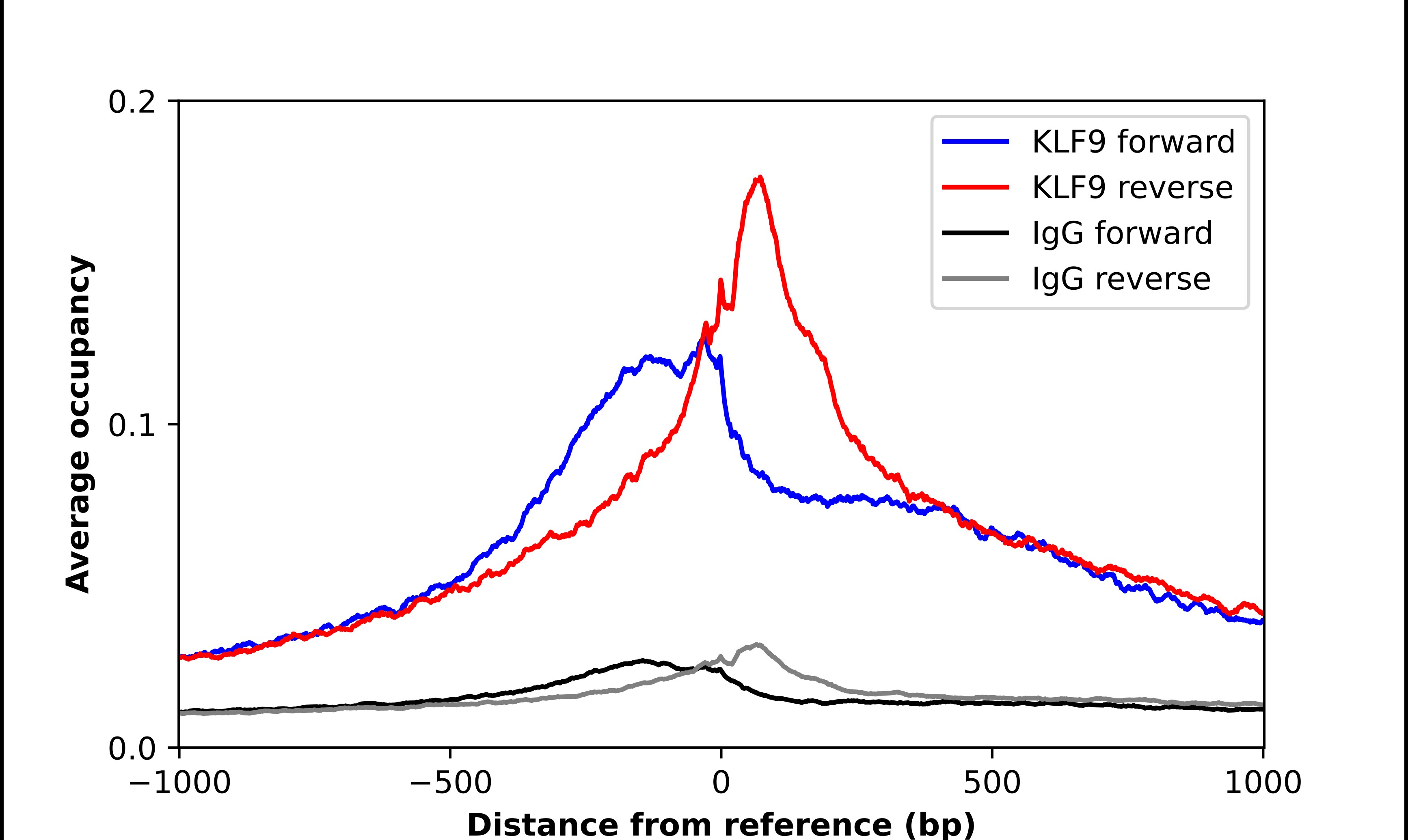 KLF9 Antibody - BSA Free Chromatin Immunoprecipitation-exo-Seq: KLF9 Antibody - BSA Free [NBP1-88507]