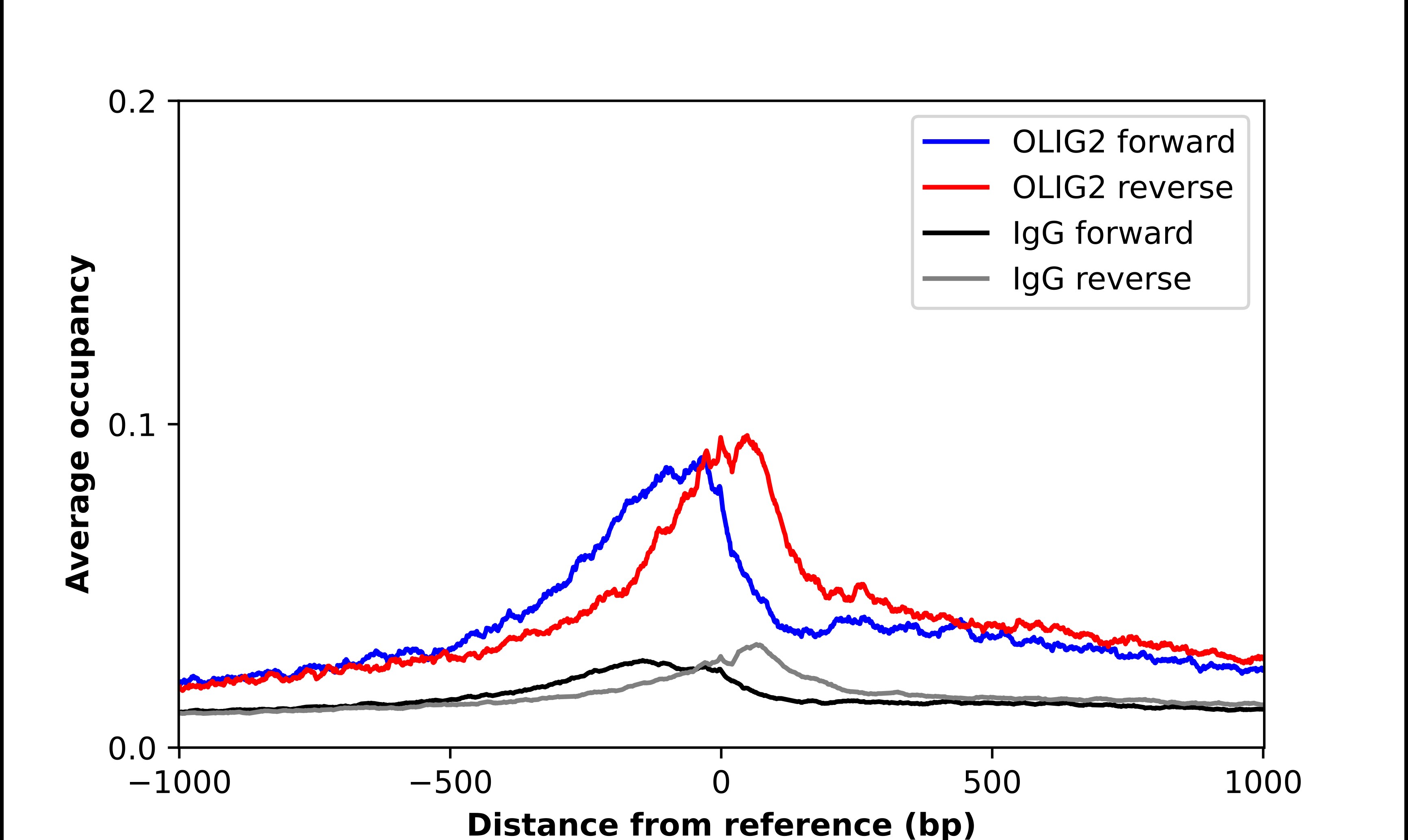 Olig2 Antibody - BSA Free Chromatin Immunoprecipitation-exo-Seq: Olig2 Antibody - BSA Free [NBP1-88634]