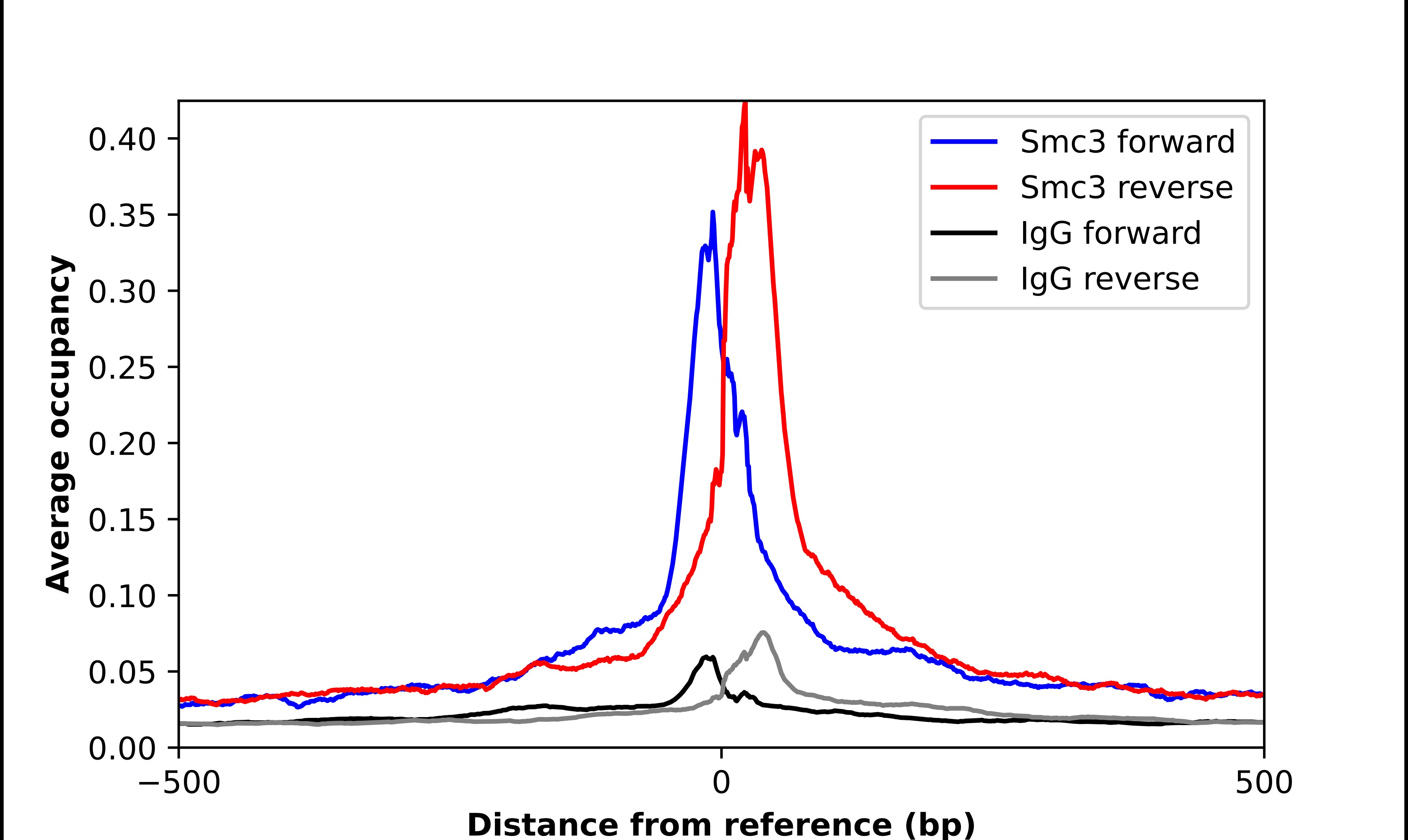 SMC3 Antibody - BSA Free Chromatin Immunoprecipitation-exo-Seq: SMC3 Antibody - BSA Free [NBP1-88715]