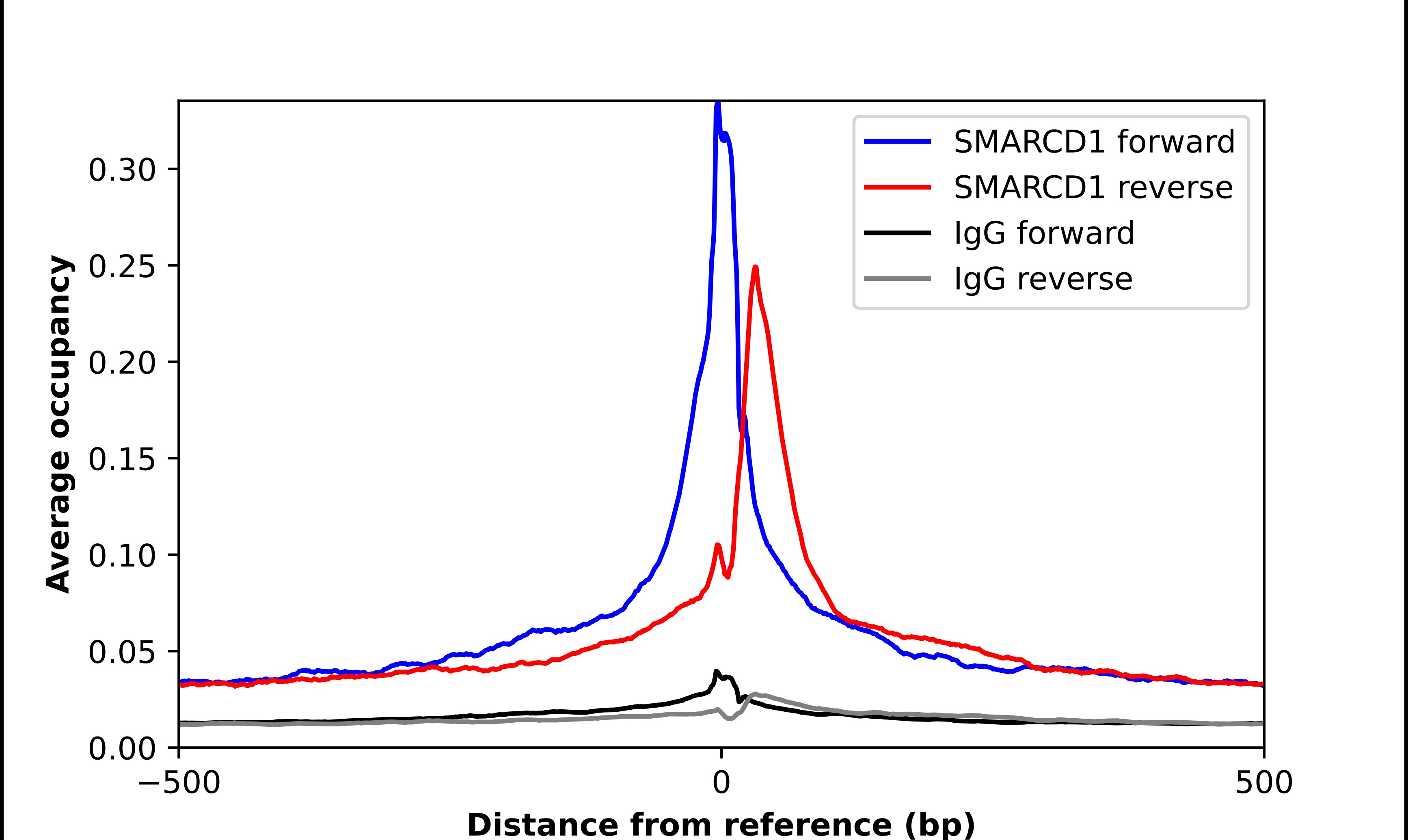 SMARCD1 Antibody - BSA Free Chromatin Immunoprecipitation-exo-Seq: SMARCD1 Antibody - BSA Free [NBP1-88719]