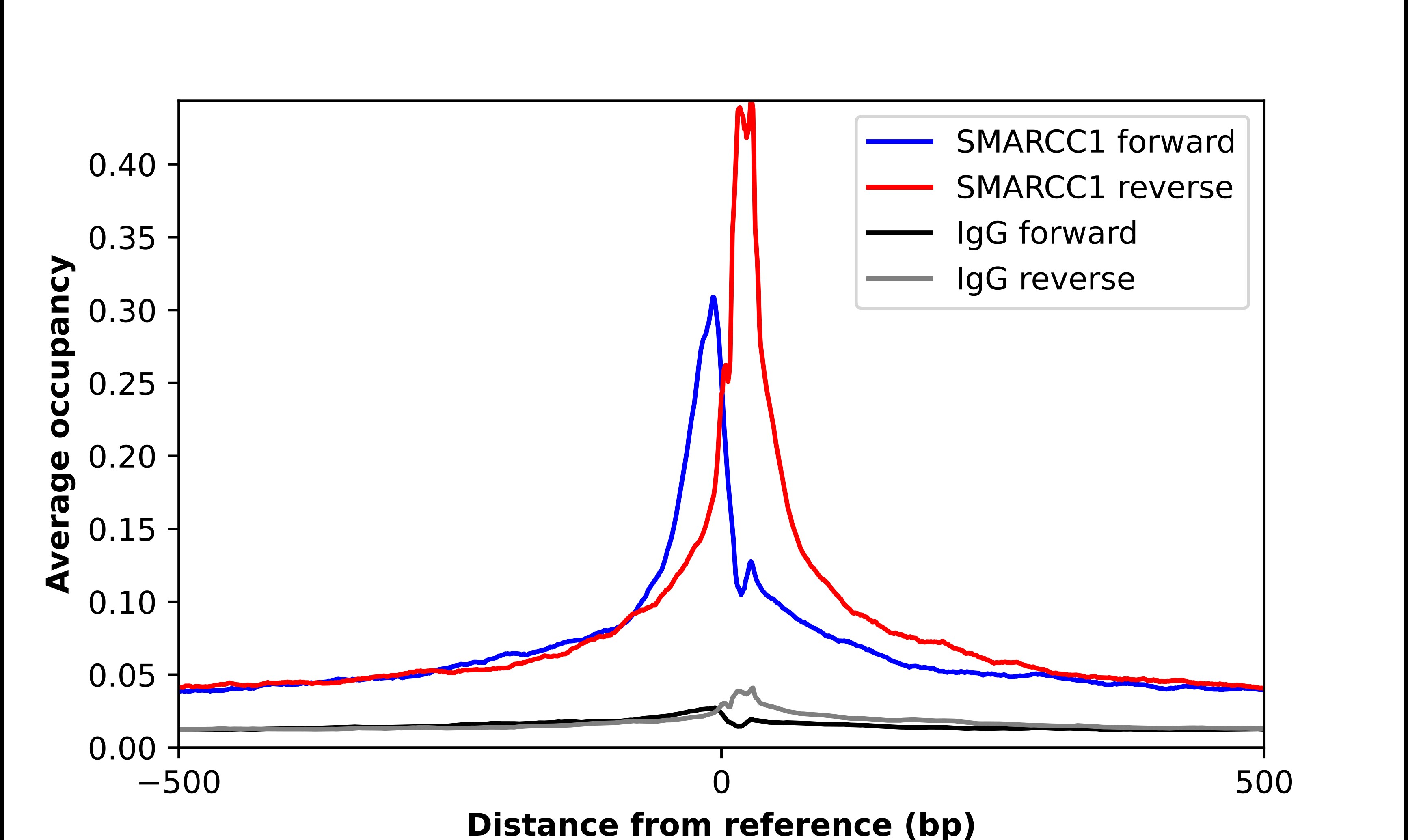 SMARCC1 Antibody - BSA Free Chromatin Immunoprecipitation-exo-Seq: SMARCC1 Antibody - BSA Free [NBP1-88721]