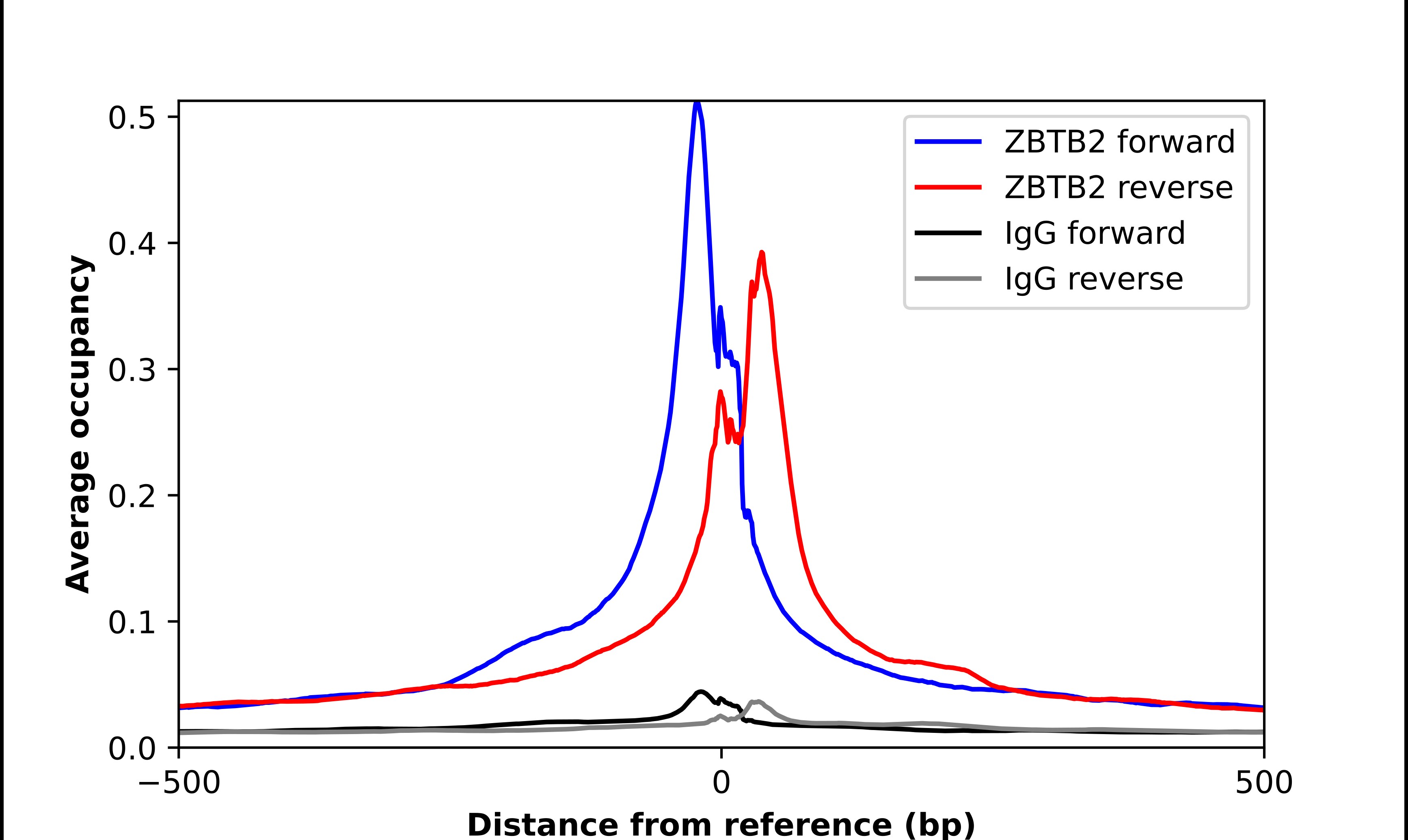ZBTB2 Antibody - BSA Free Chromatin Immunoprecipitation-exo-Seq: ZBTB2 Antibody - BSA Free [NBP1-88786]