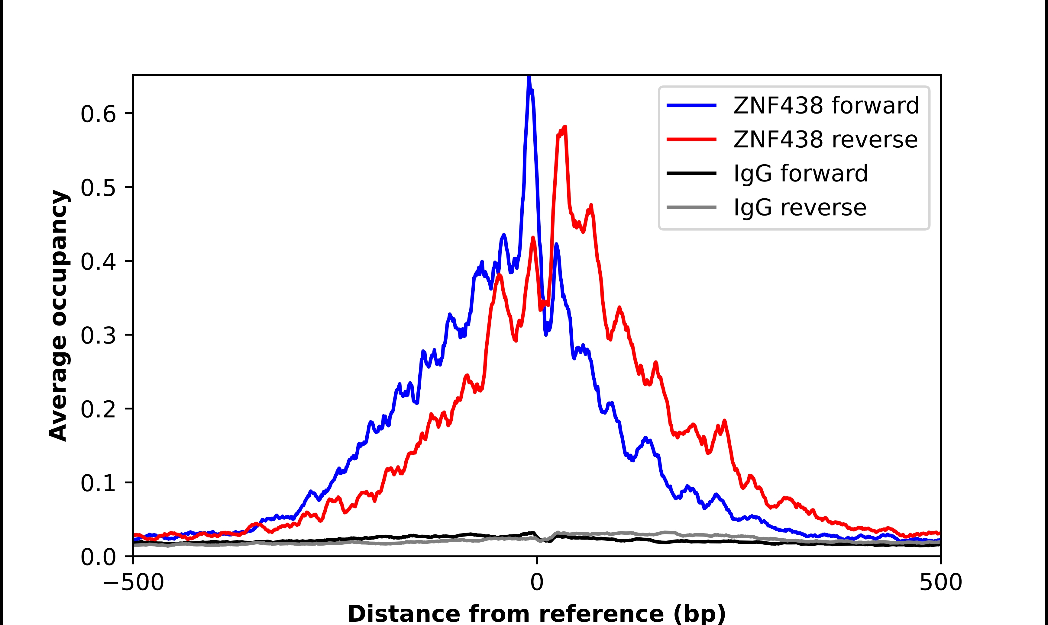 ZNF438 Antibody - BSA Free Chromatin Immunoprecipitation-exo-Seq: ZNF438 Antibody - BSA Free [NBP1-88797]