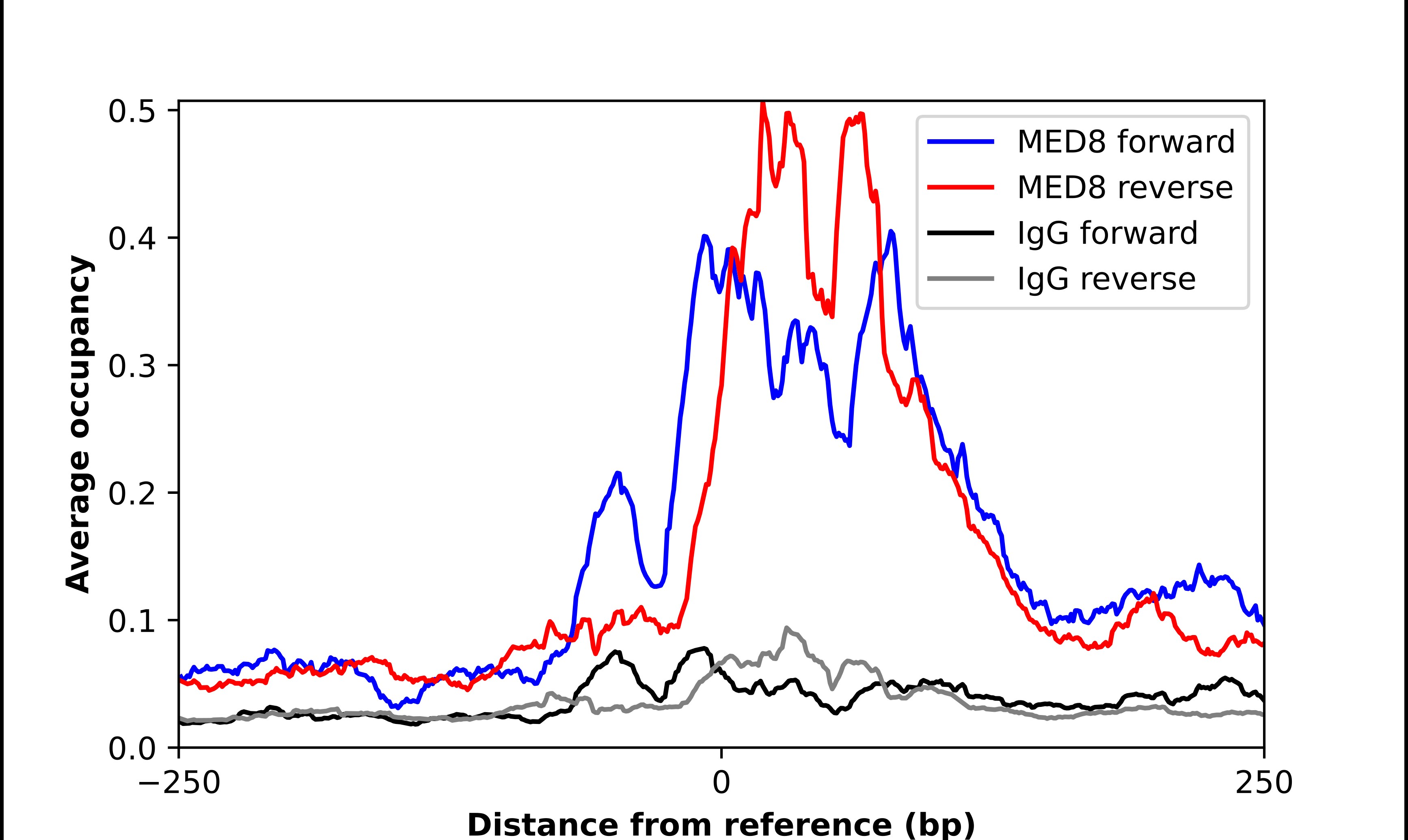 MED8 Antibody - BSA Free Chromatin Immunoprecipitation-exo-Seq: MED8 Antibody - BSA Free [NBP1-89014]