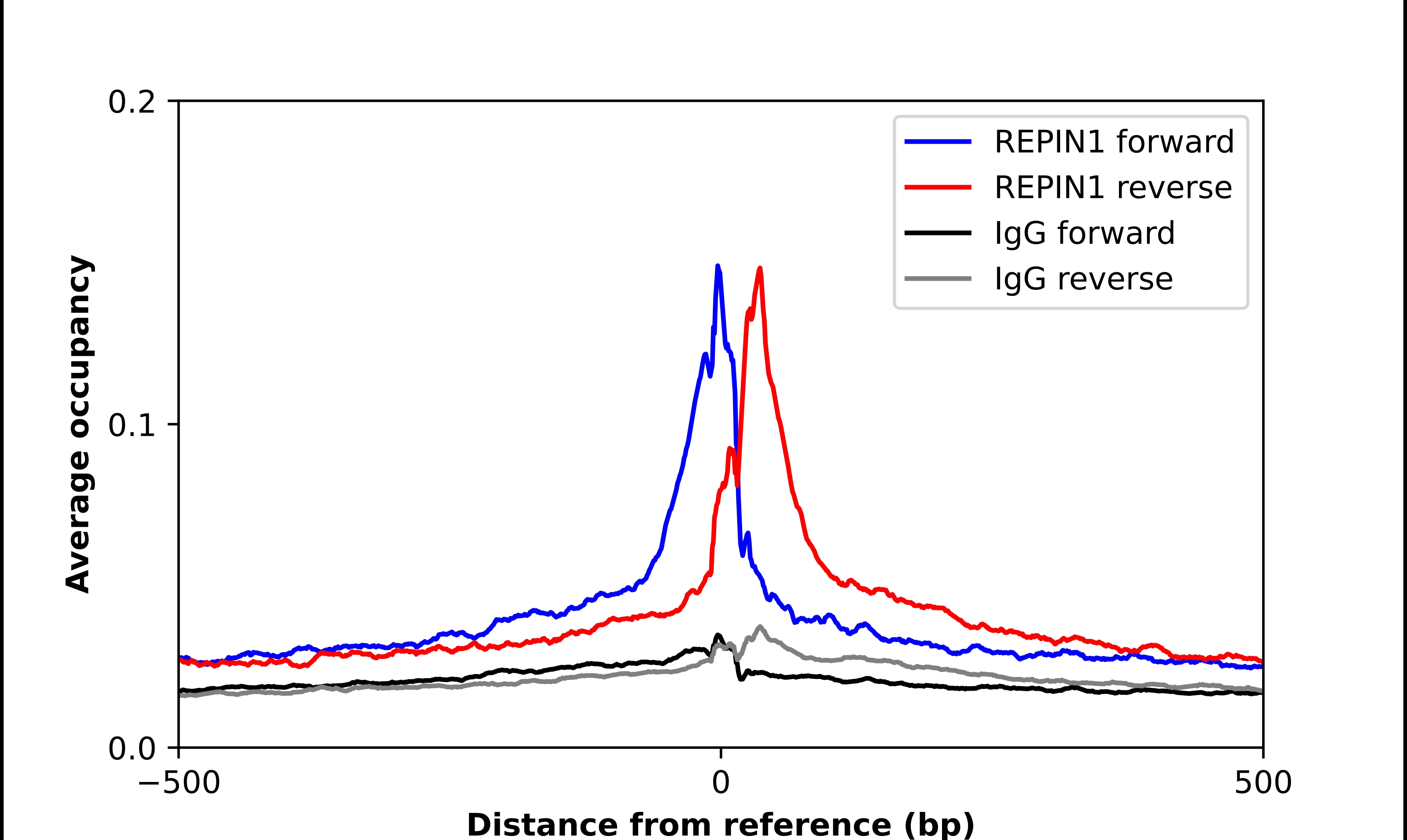 REPIN1 Antibody - BSA Free Chromatin Immunoprecipitation-exo-Seq: REPIN1 Antibody - BSA Free [NBP1-89059]