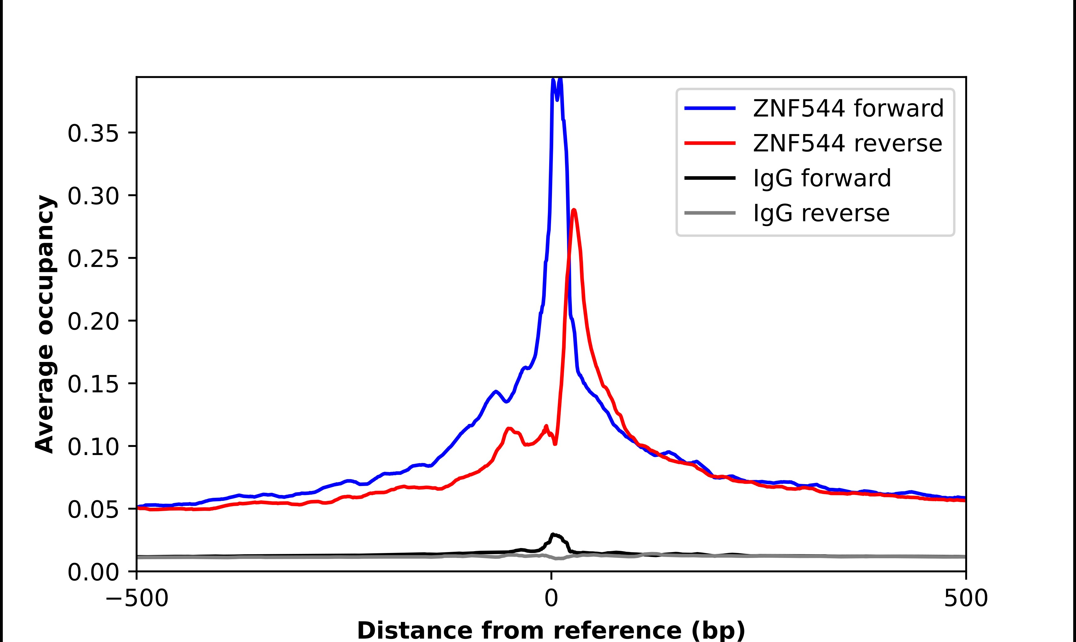 ZNF544 Antibody - BSA Free Chromatin Immunoprecipitation ChIP: ZNF544 Antibody - BSA Free