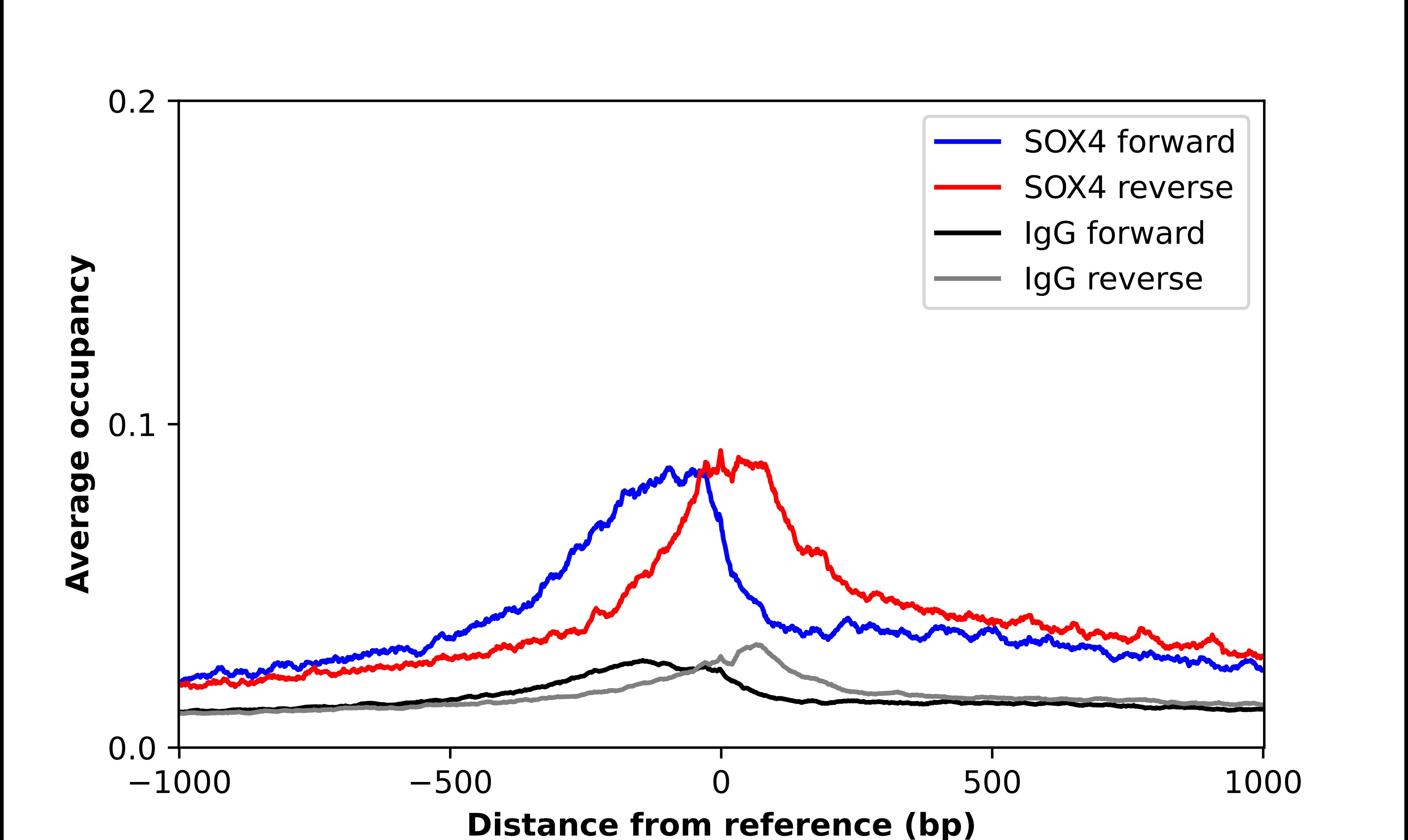 SOX4 Antibody - BSA Free Chromatin Immunoprecipitation-exo-Seq: SOX4 Antibody - BSA Free [NBP1-89506]