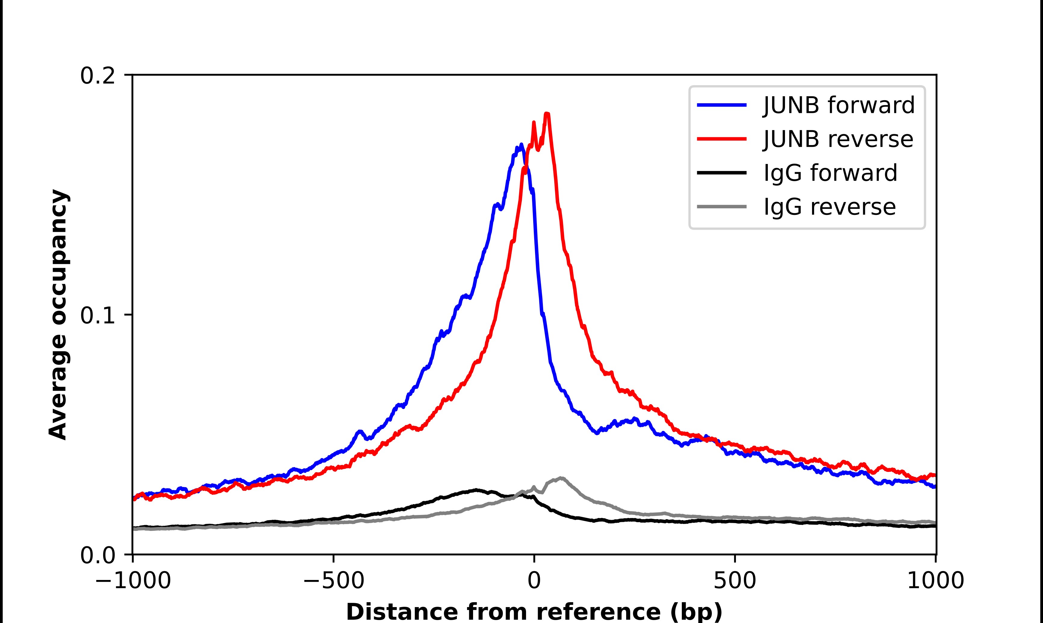 JunB/AP-1 Antibody - BSA Free Chromatin Immunoprecipitation-exo-Seq: JunB/AP-1 Antibody - BSA Free [NBP1-89544]