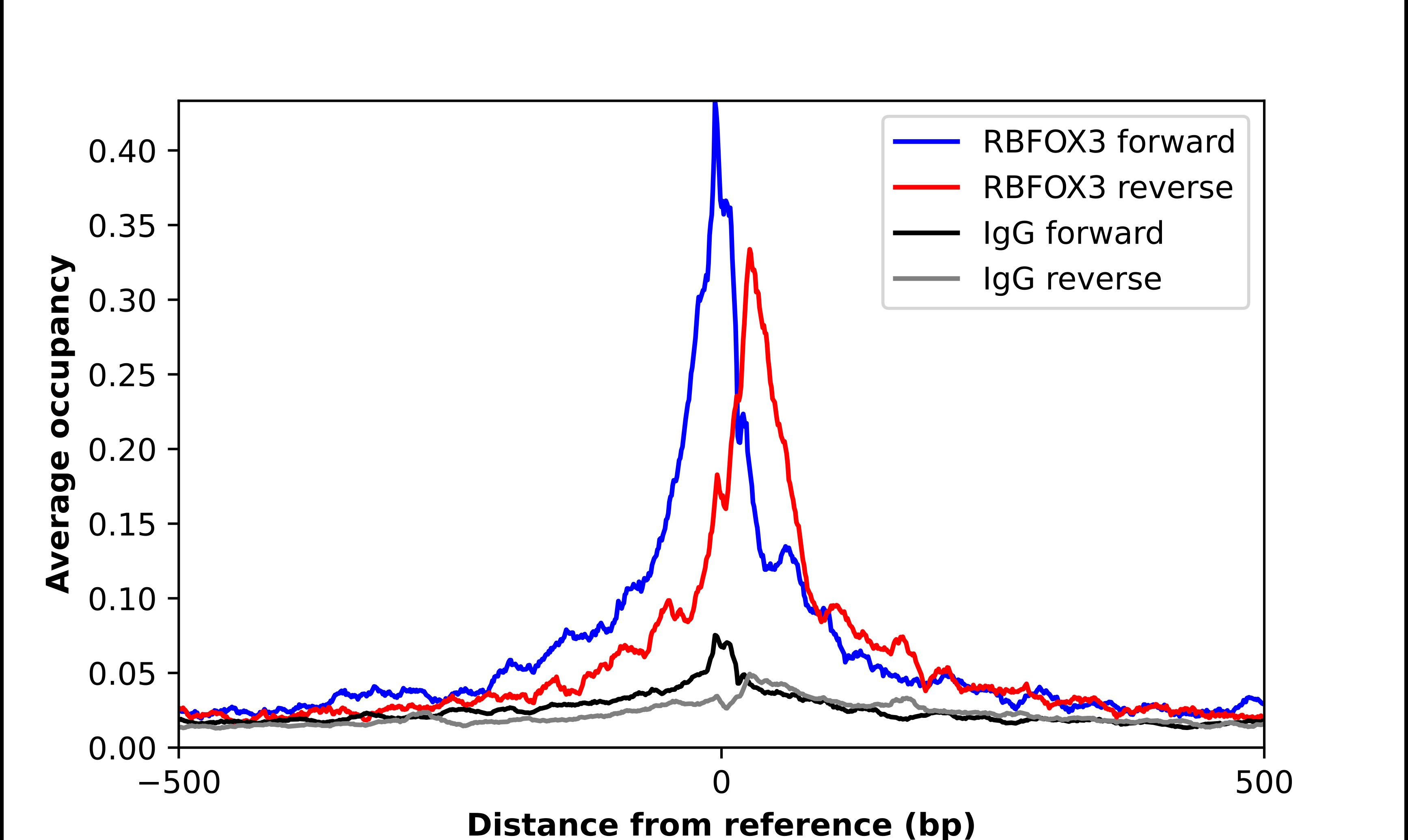 RBFOX3/NeuN Antibody - BSA Free Chromatin Immunoprecipitation-exo-Seq: RBFOX3/NeuN Antibody - BSA Free [NBP1-89821]