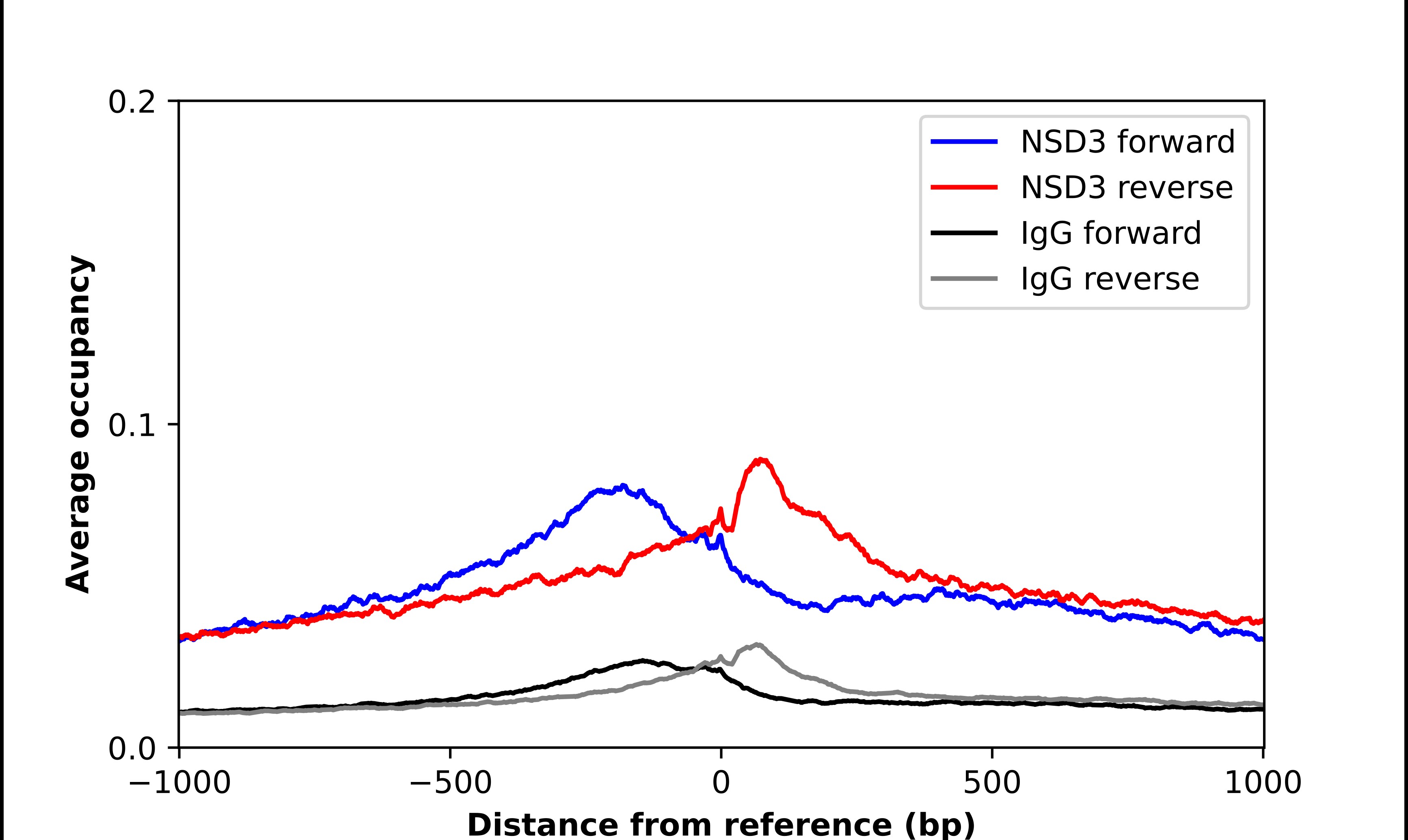 NSD3 Antibody - BSA Free Chromatin Immunoprecipitation-exo-Seq: NSD3 Antibody - BSA Free [NBP1-89851]