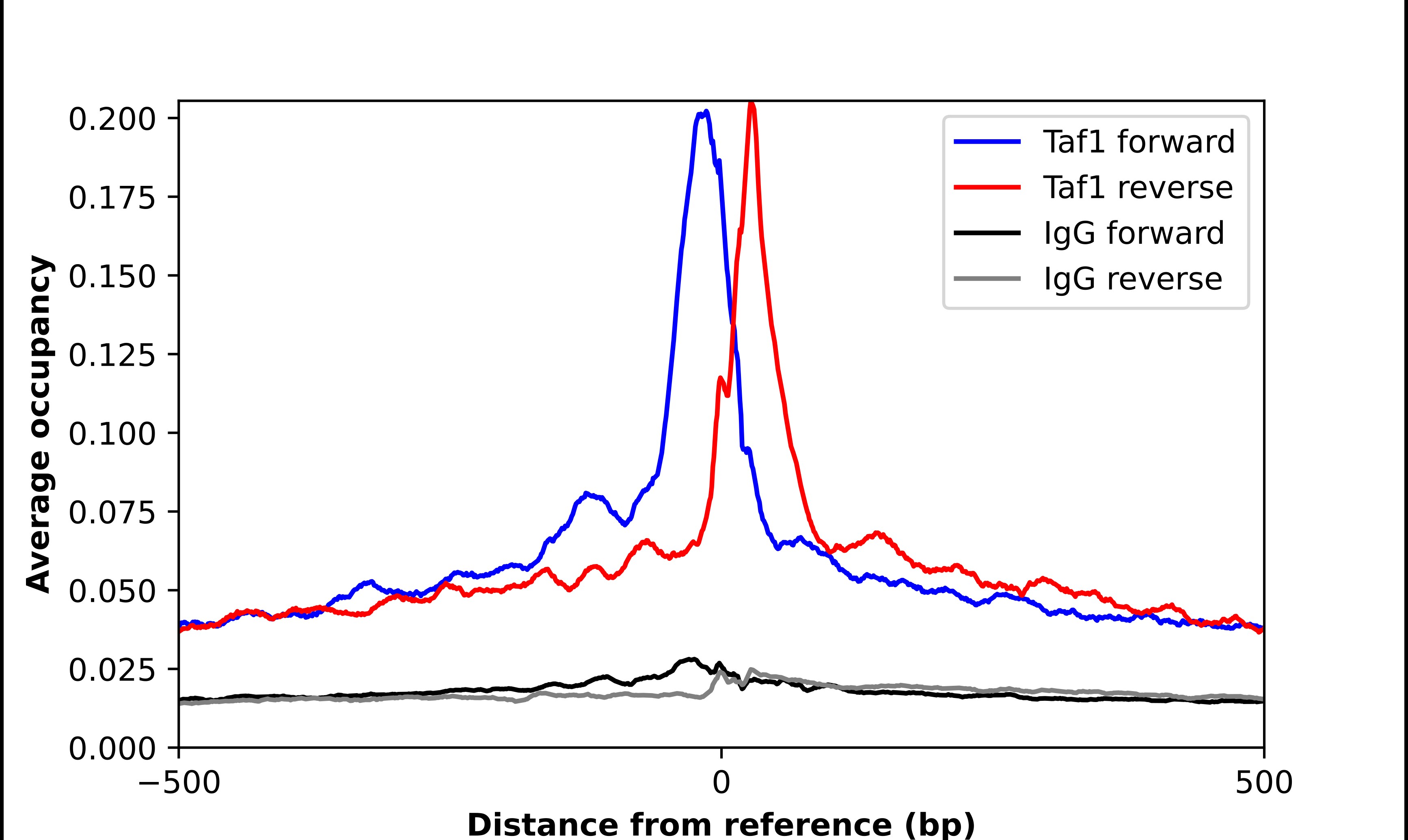 KAT4/TBP Associated Factor 1 Antibody - BSA Free Chromatin Immunoprecipitation-exo-Seq: KAT4/TBP Associated Factor 1 Antibody - BSA Free [NBP1-90036]