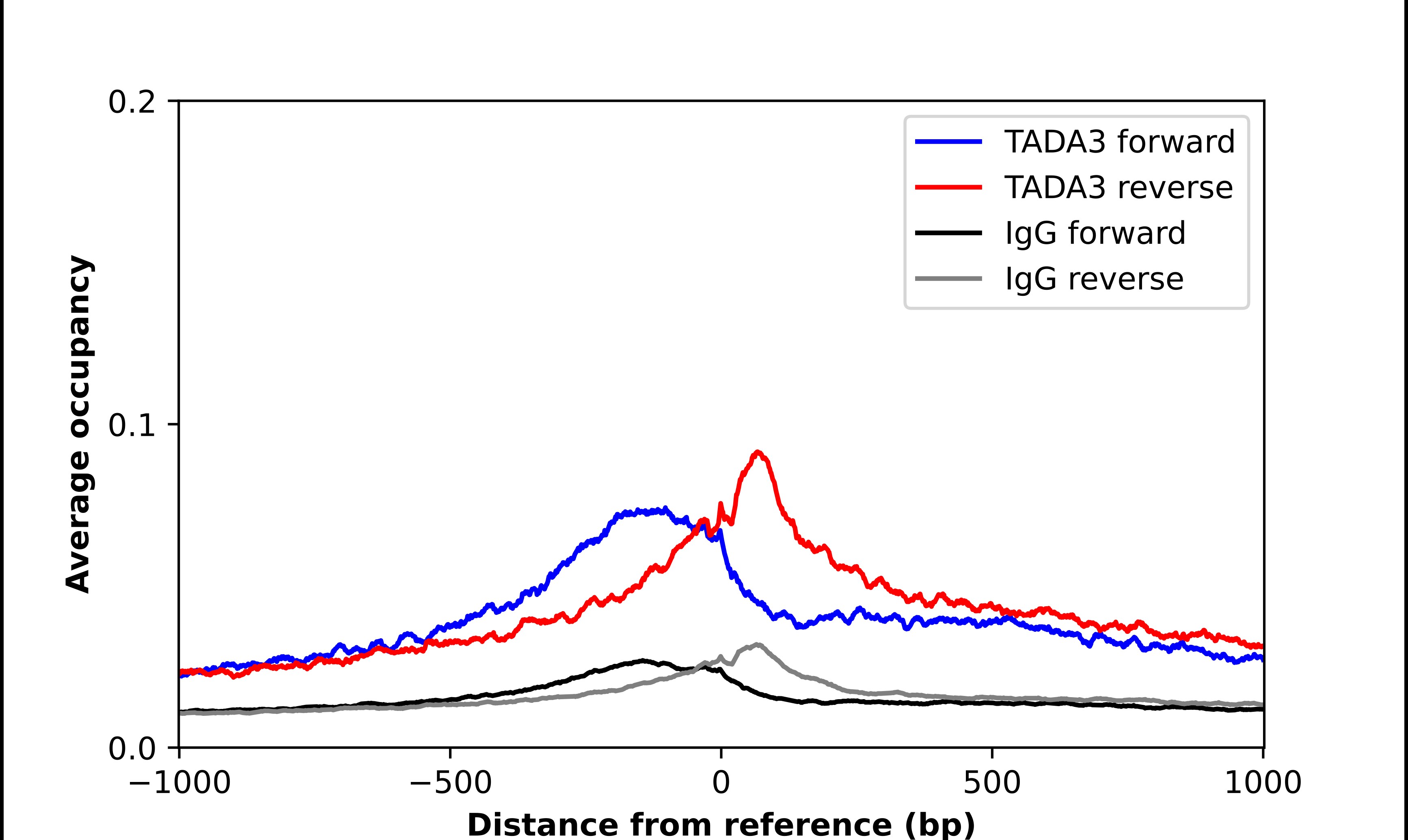 TADA3L Antibody - BSA Free Chromatin Immunoprecipitation-exo-Seq: TADA3L Antibody - BSA Free [NBP1-90243]