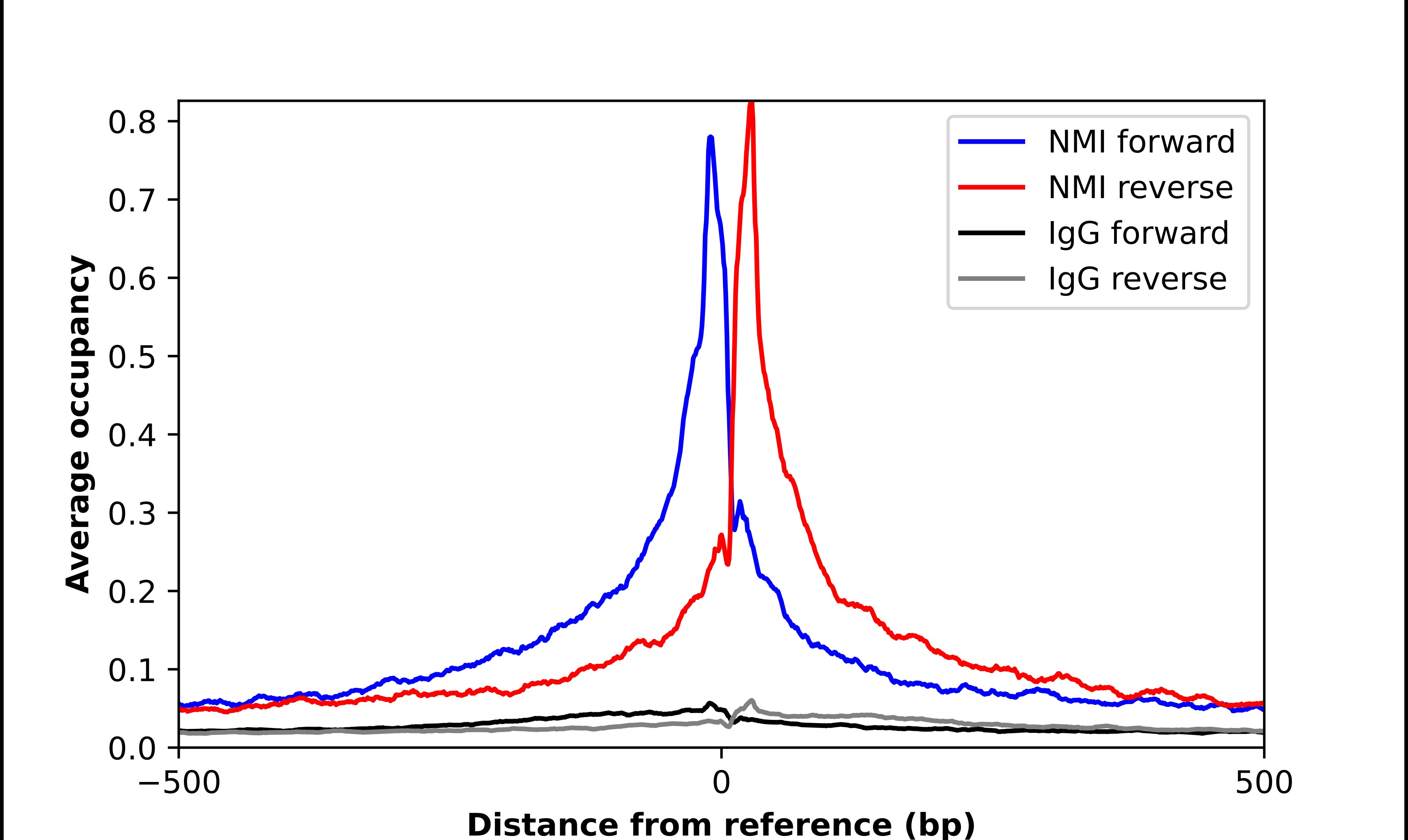 N myc interactor Antibody - BSA Free Chromatin Immunoprecipitation-exo-Seq: N myc interactor Antibody - BSA Free [NBP1-90374]