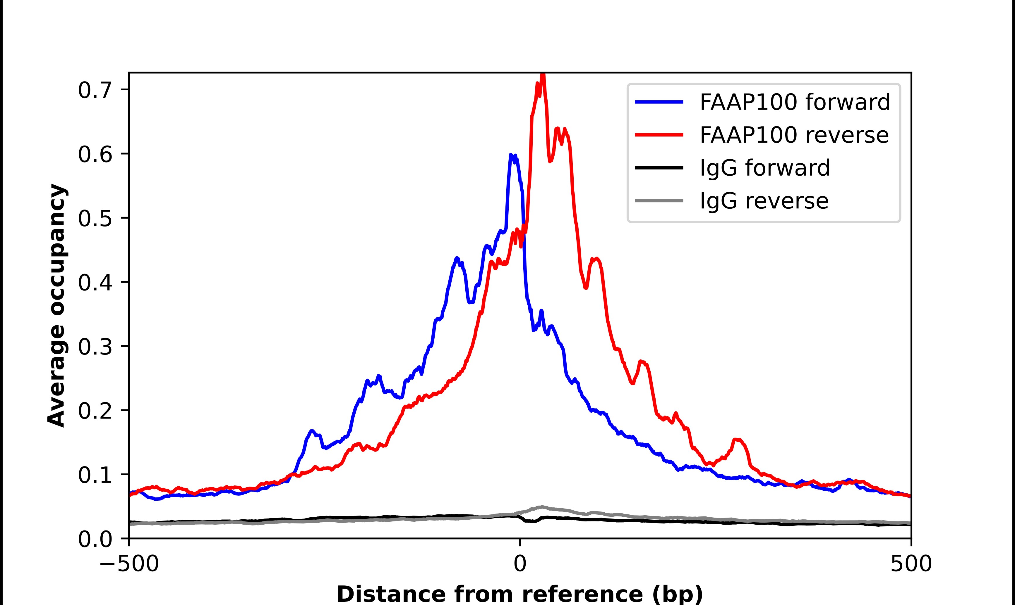 FAAP100 Antibody - BSA Free Chromatin Immunoprecipitation ChIP: FAAP100 Antibody - BSA Free