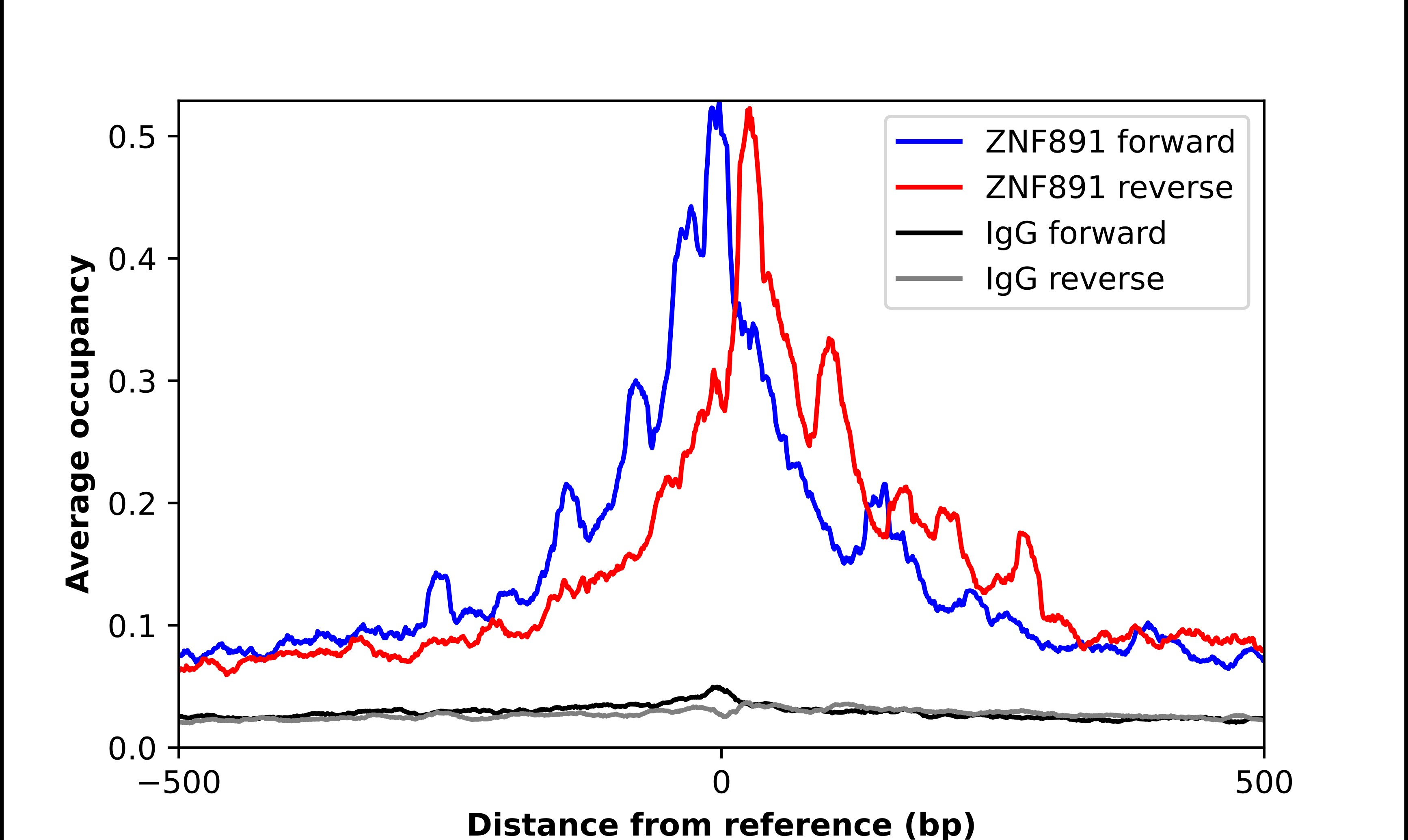 ZNF891 Antibody - BSA Free Chromatin Immunoprecipitation ChIP: ZNF891 Antibody - BSA Free