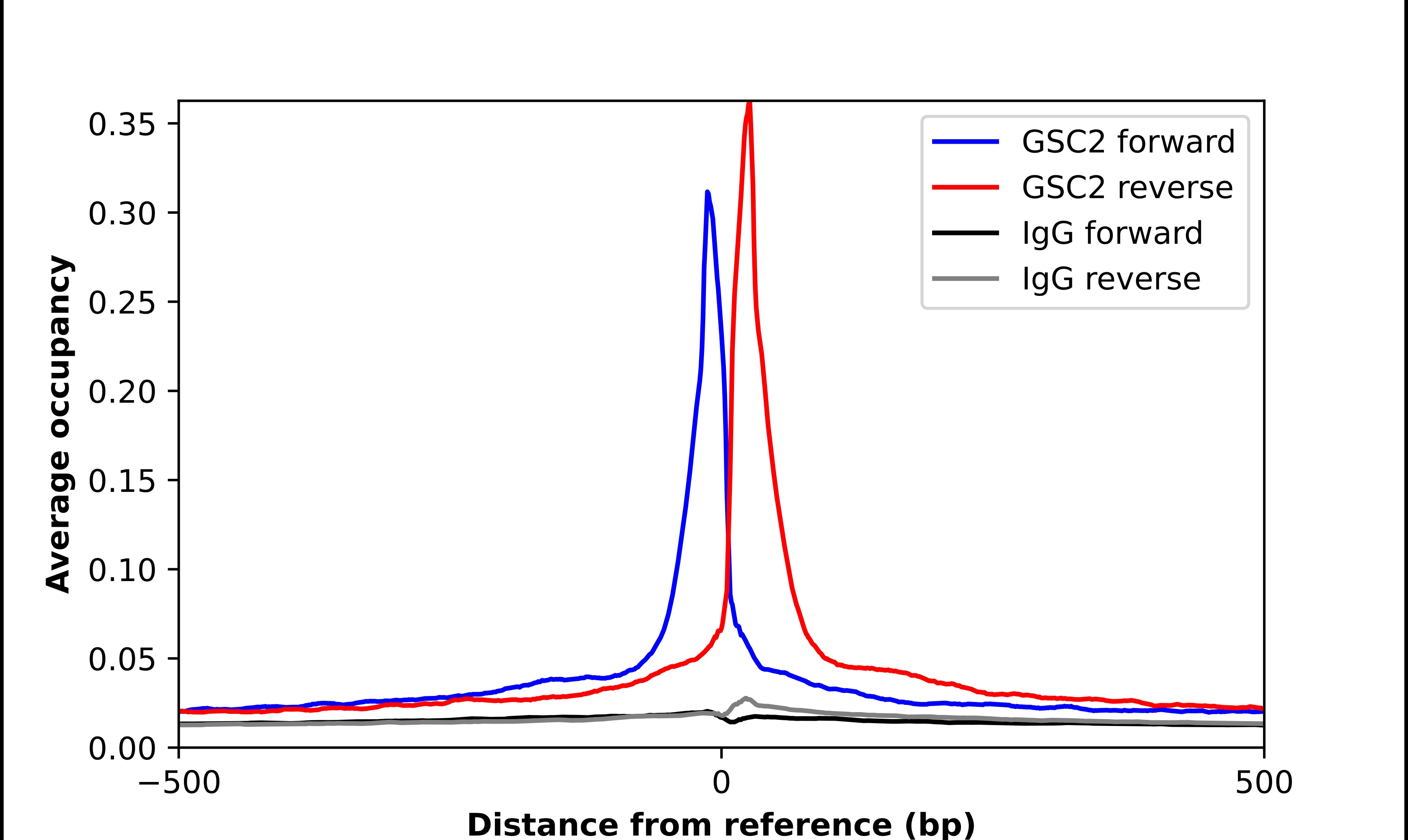 GSC2 Antibody - BSA Free Chromatin Immunoprecipitation ChIP: GSC2 Antibody - BSA Free
