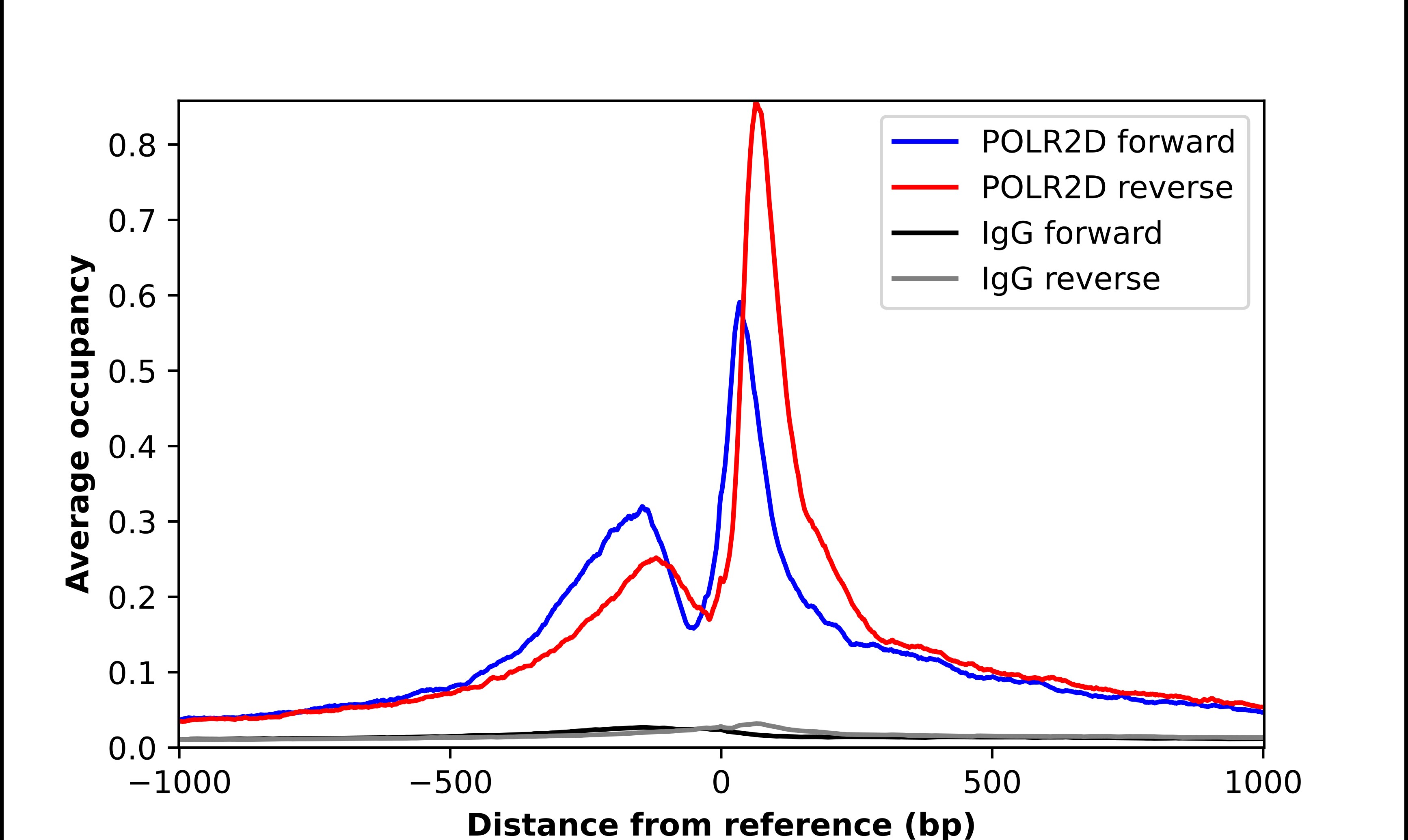 POLR2D Antibody - BSA Free Chromatin Immunoprecipitation-exo-Seq: POLR2D Antibody - BSA Free [NBP1-92280]