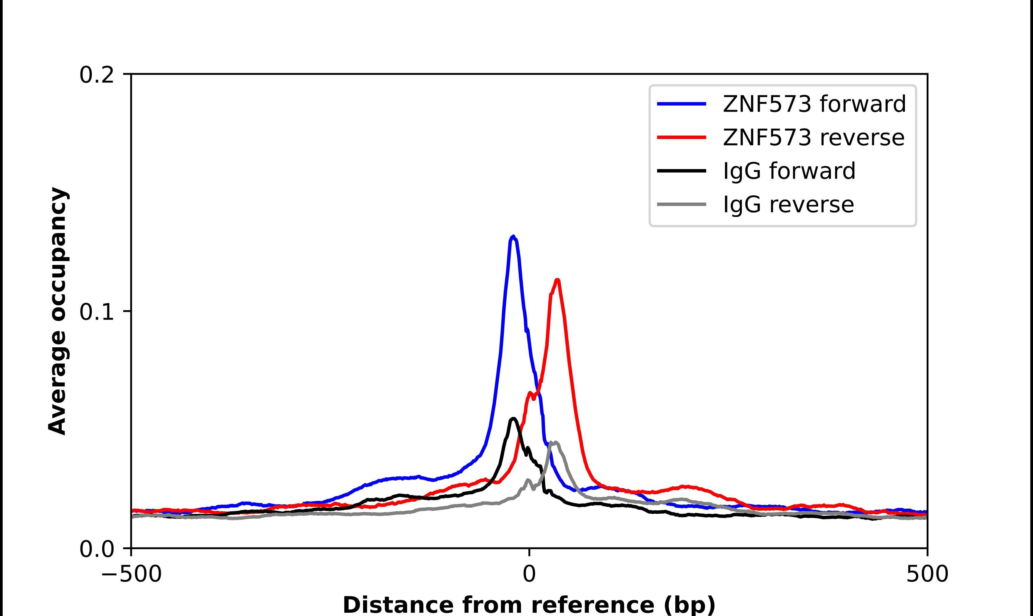ZNF573 Antibody - BSA Free Chromatin Immunoprecipitation ChIP: ZNF573 Antibody - BSA Free