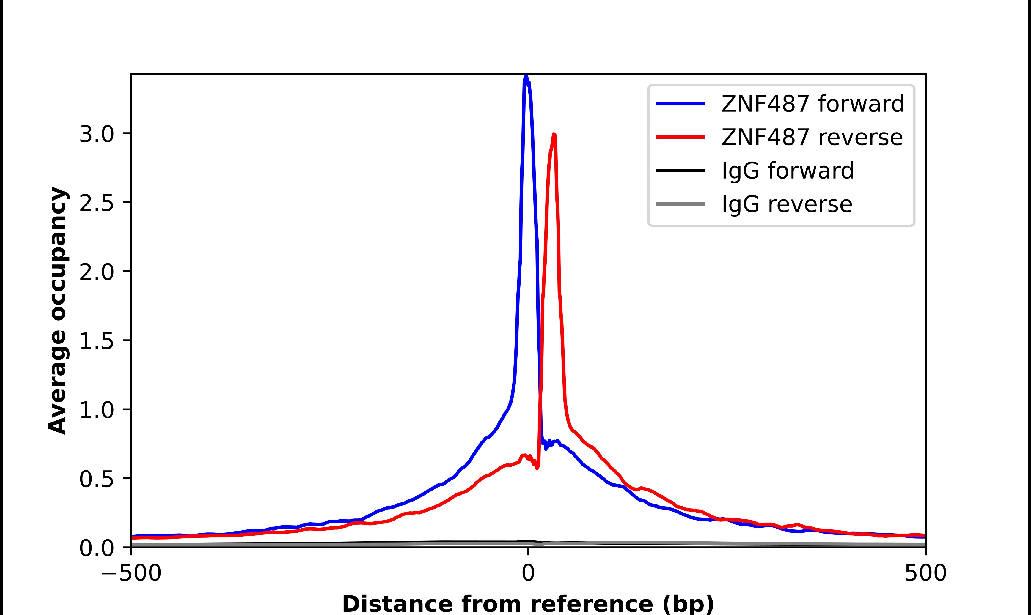 ZNF487P Antibody - BSA Free Chromatin Immunoprecipitation ChIP: ZNF487P Antibody - BSA Free