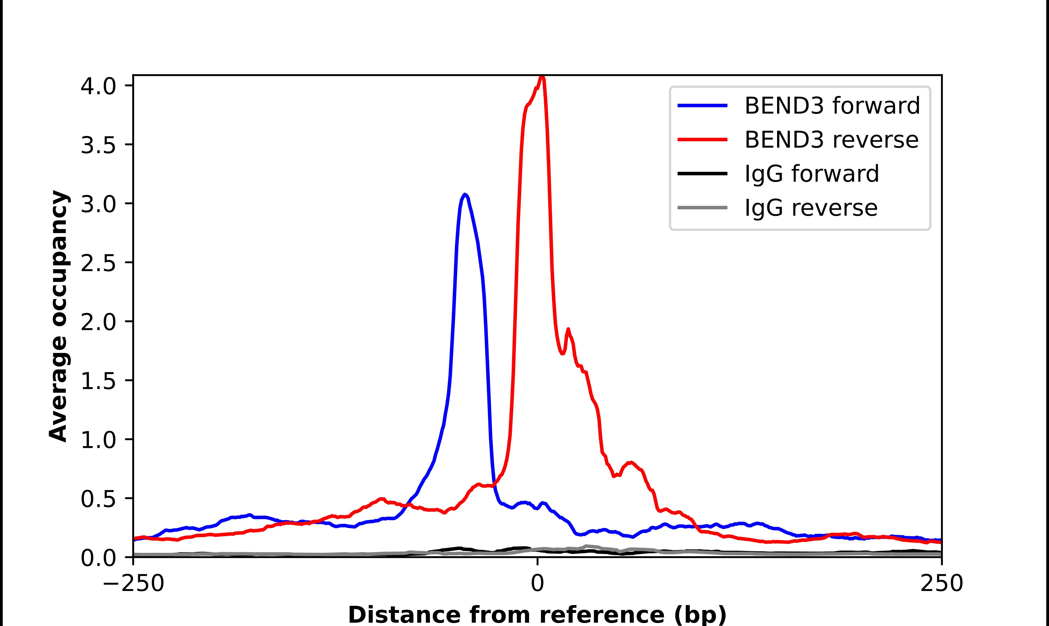 BEND3 Antibody - BSA Free Chromatin Immunoprecipitation ChIP: BEND3 Antibody - BSA Free