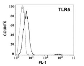 TLR5 Antibody (85B152.5) - BSA Free