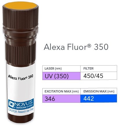 Ly-6B.2 Antibody (7/4) [Alexa Fluor® 350]