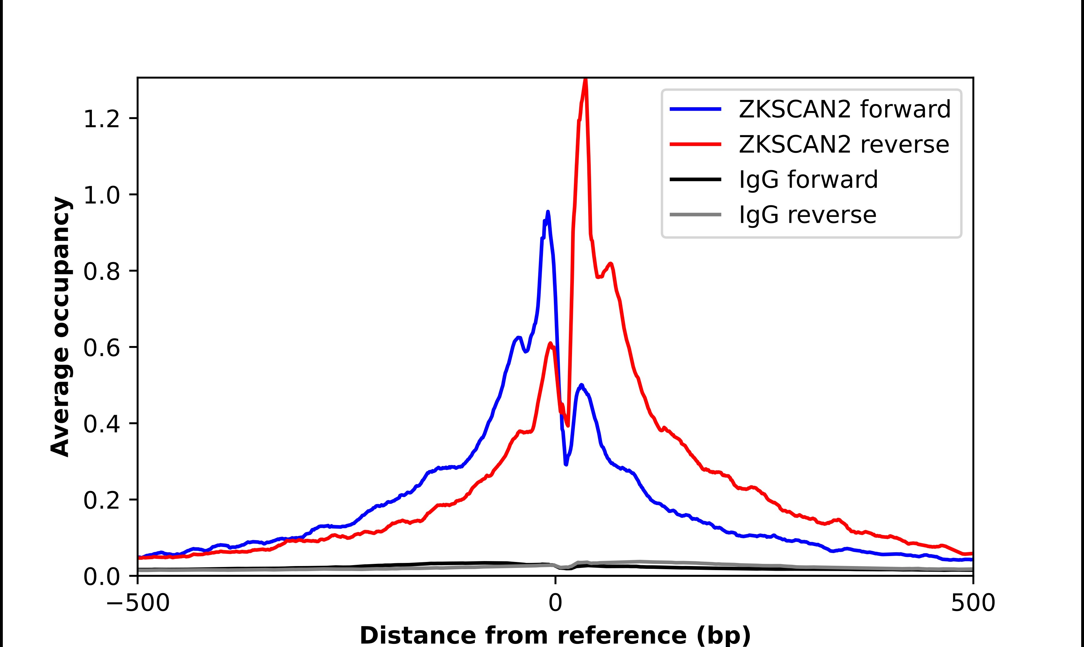 ZKSCAN2 Antibody - BSA Free Chromatin Immunoprecipitation-exo-Seq: ZKSCAN2 Antibody - BSA Free [NBP2-13549]