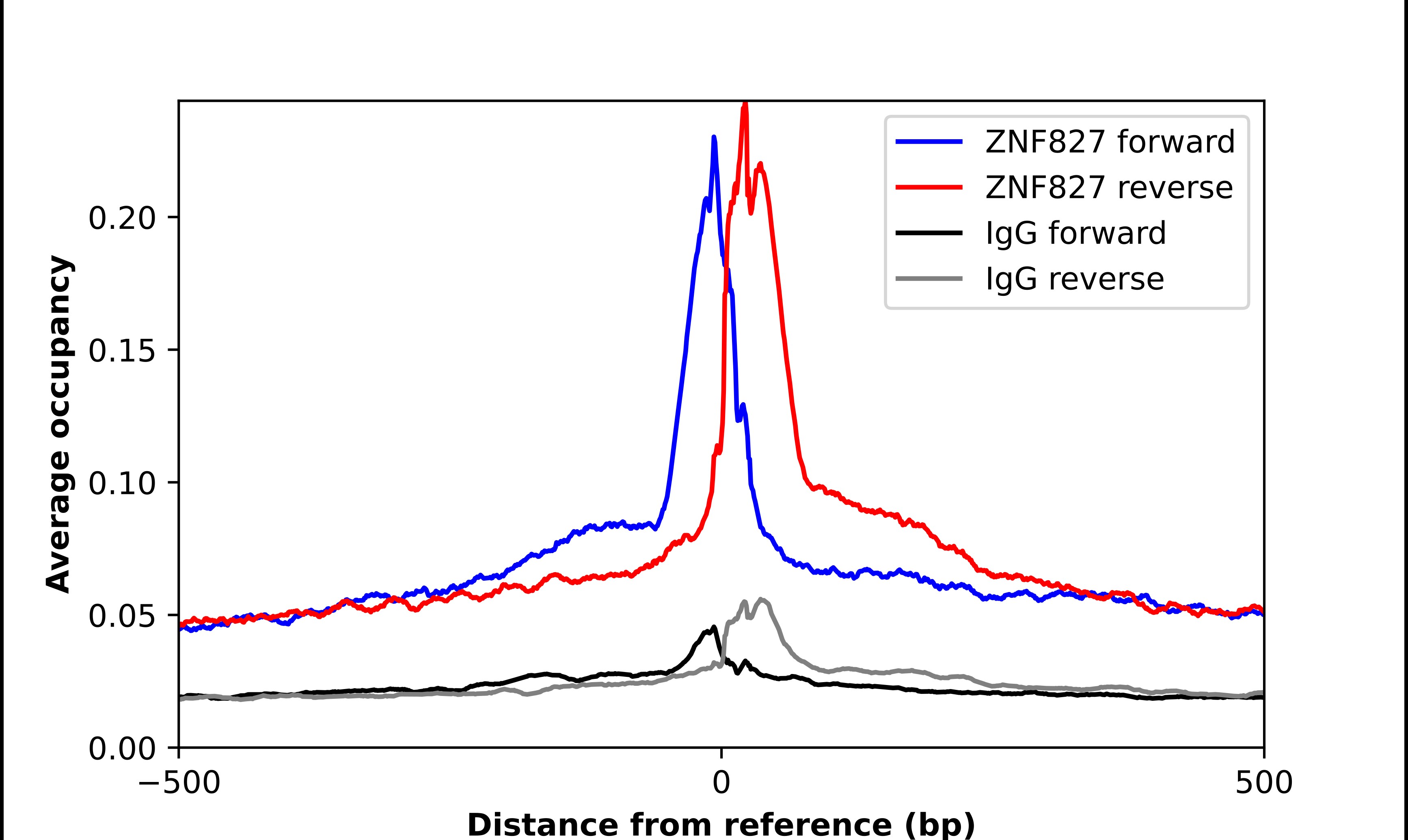 ZNF827 Antibody - BSA Free Chromatin Immunoprecipitation-exo-Seq: ZNF827 Antibody - BSA Free [NBP2-13599]