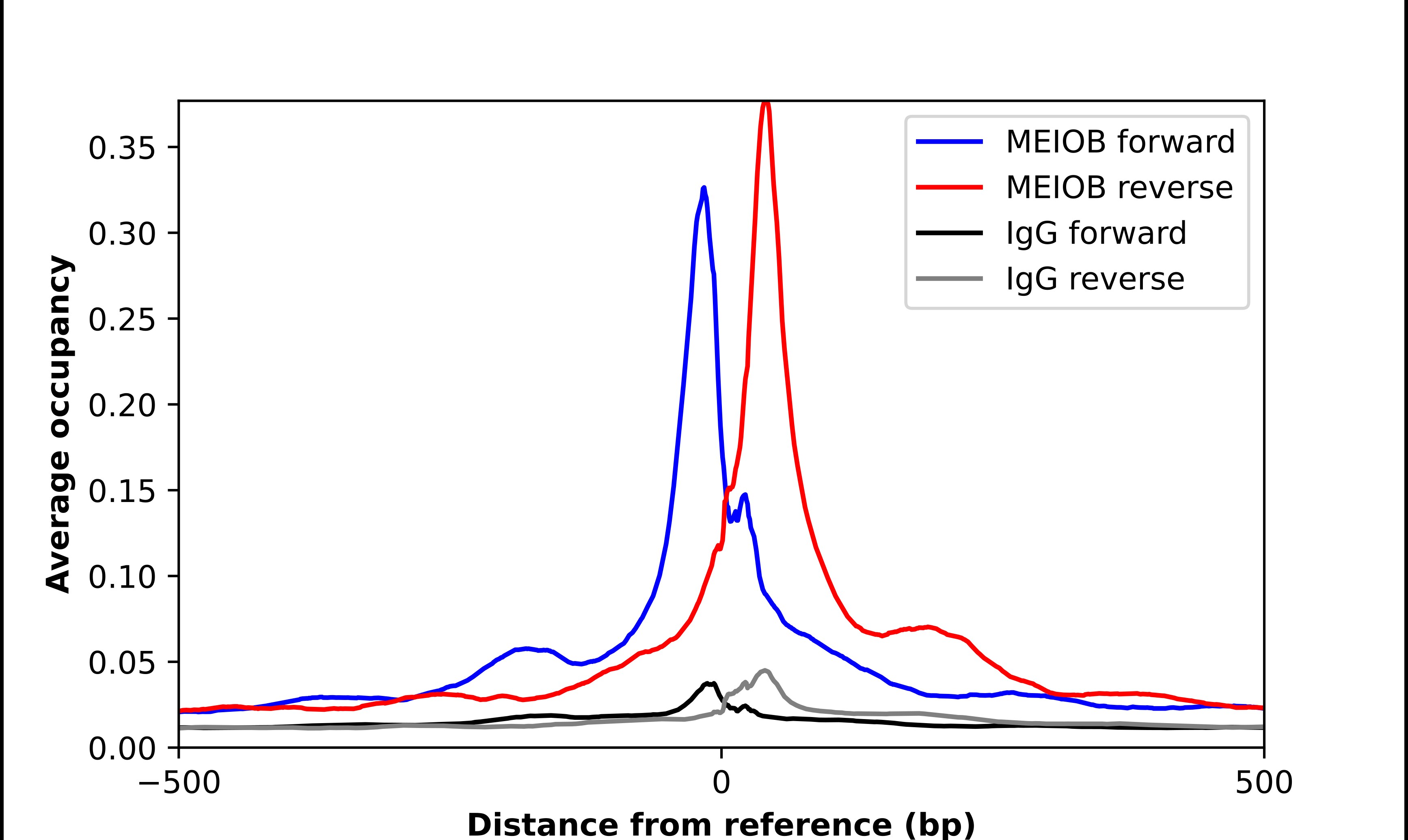 MEIOB Antibody - BSA Free Chromatin Immunoprecipitation ChIP: MEIOB Antibody - BSA Free