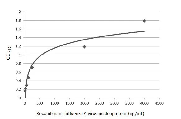 Influenza A H1N1 Nucleoprotein Antibody - (A/WSN/1933)