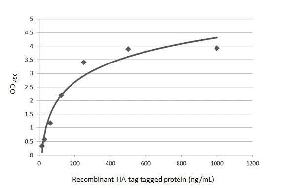 HA Tag Antibody