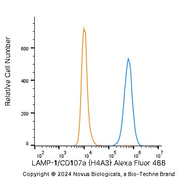 LAMP-1/CD107a Antibody (H4A3) [Alexa Fluor® 488]