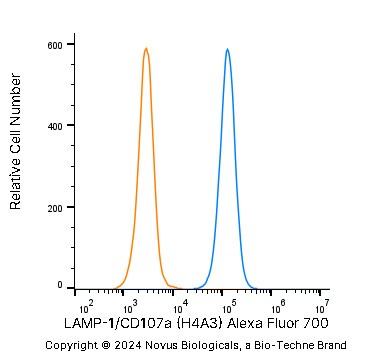 LAMP-1/CD107a Antibody (H4A3) [Alexa Fluor® 700]