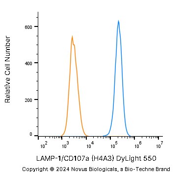 LAMP-1/CD107a Antibody (H4A3) [DyLight 550]