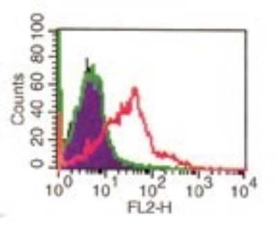 CD4 Antibody (RPA-T4) - Azide and BSA Free