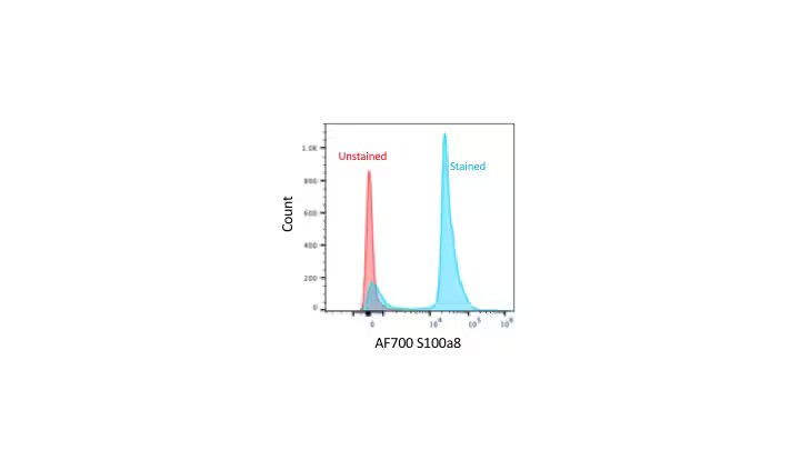 S100A8 Antibody (63N13G5) - Azide Free