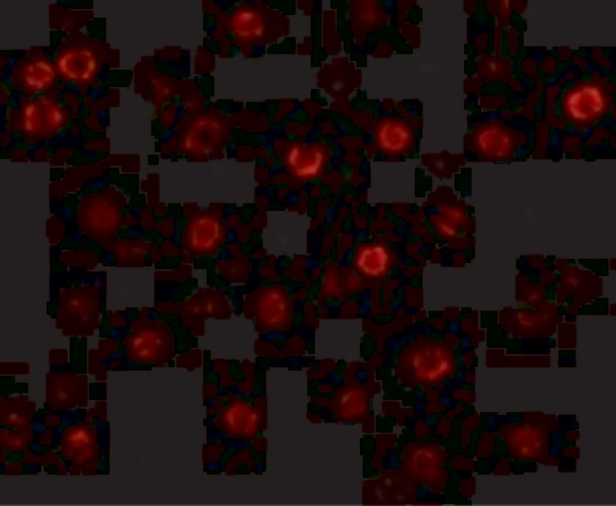 Cadherin-13 Antibody - BSA Free