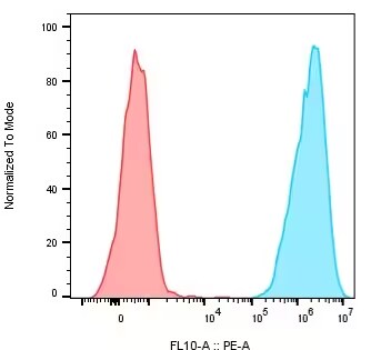 CD19 Antibody (CB19) [PE]