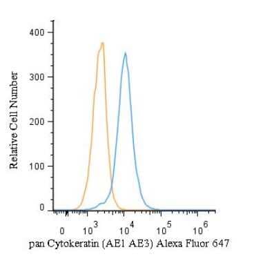 Cytokeratin, pan Antibody (AE-1/AE-3)