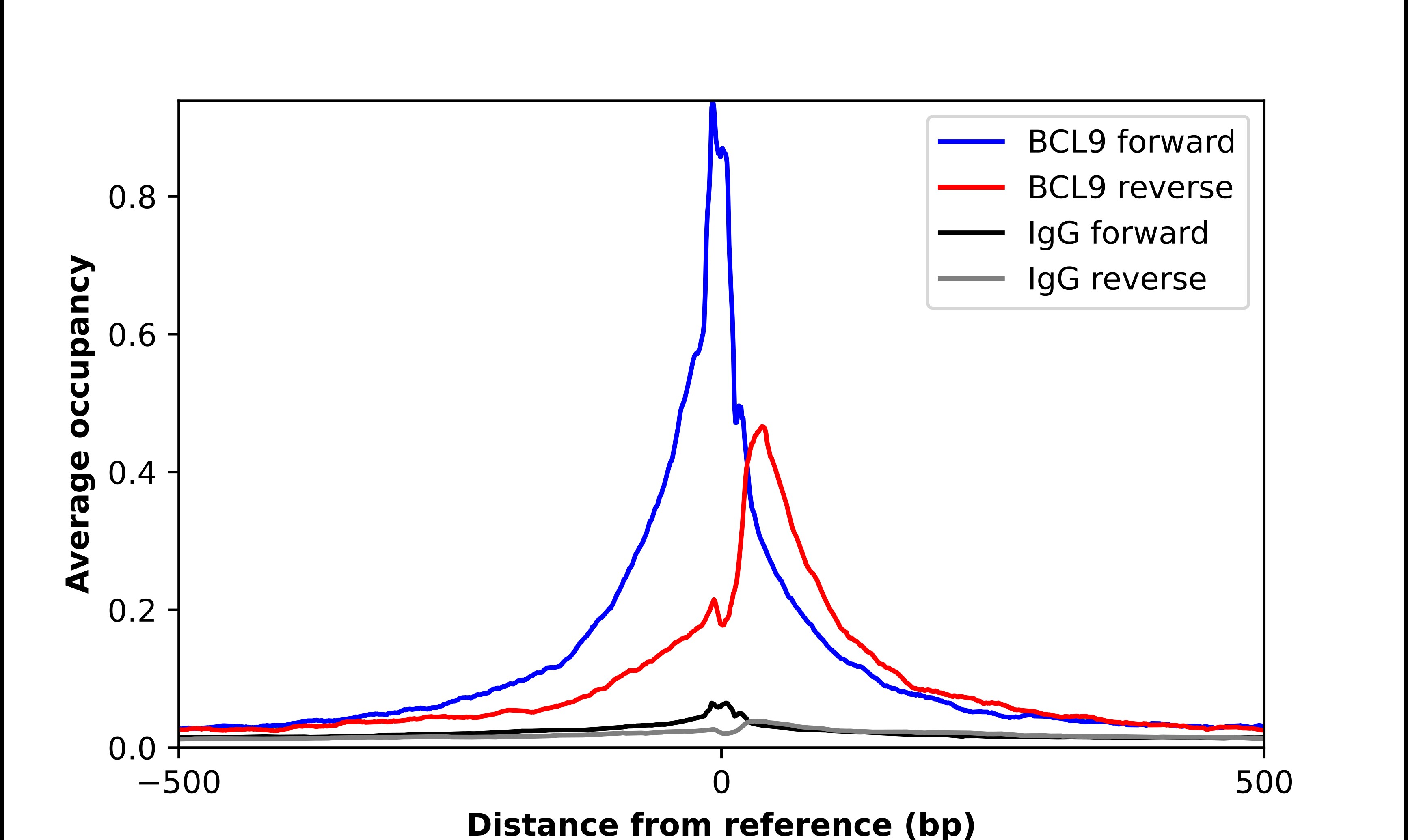 Bcl-9 Antibody - BSA Free Chromatin Immunoprecipitation ChIP: Bcl-9 Antibody - BSA Free