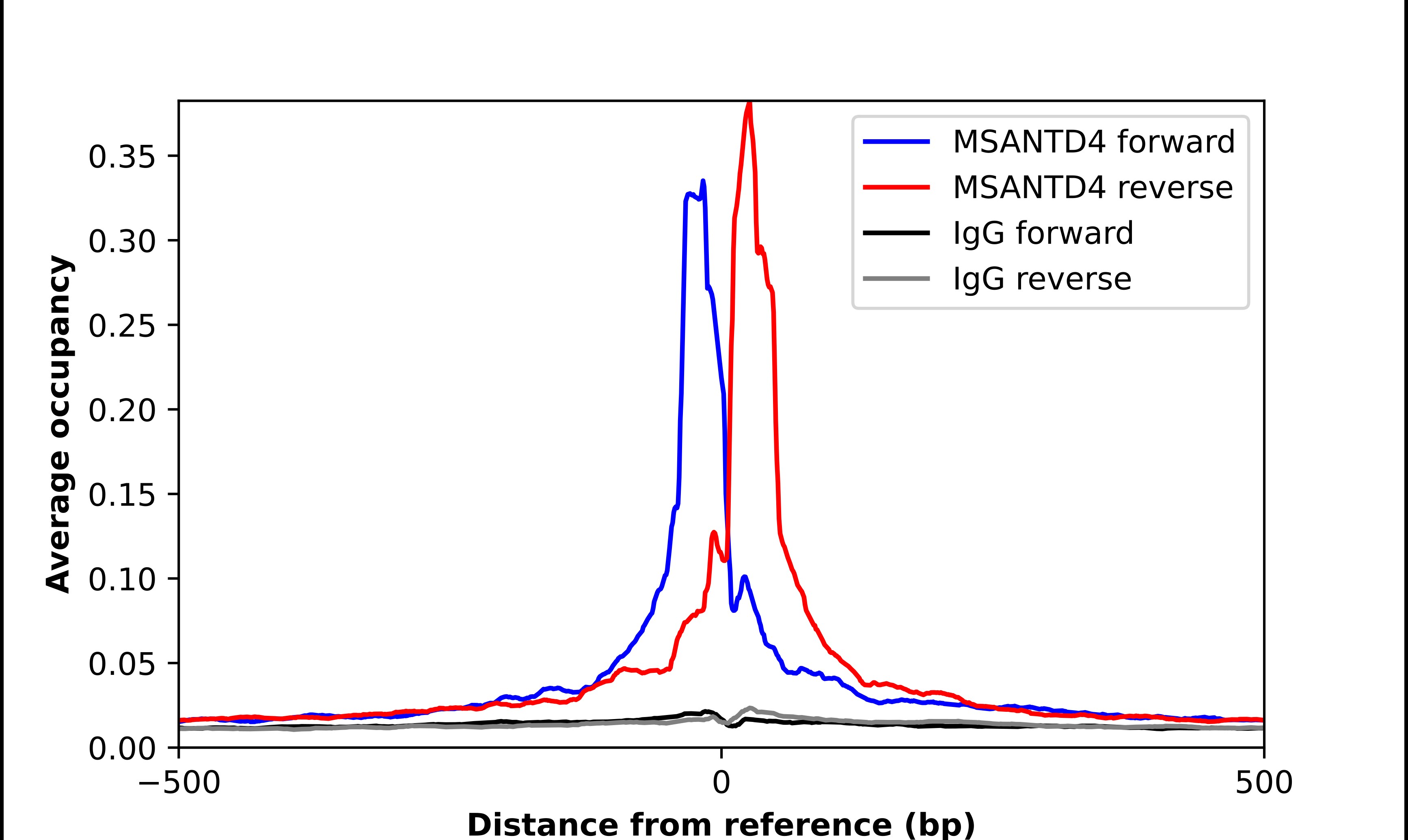 MSANTD4 Antibody - BSA Free Chromatin Immunoprecipitation ChIP: MSANTD4 Antibody - BSA Free