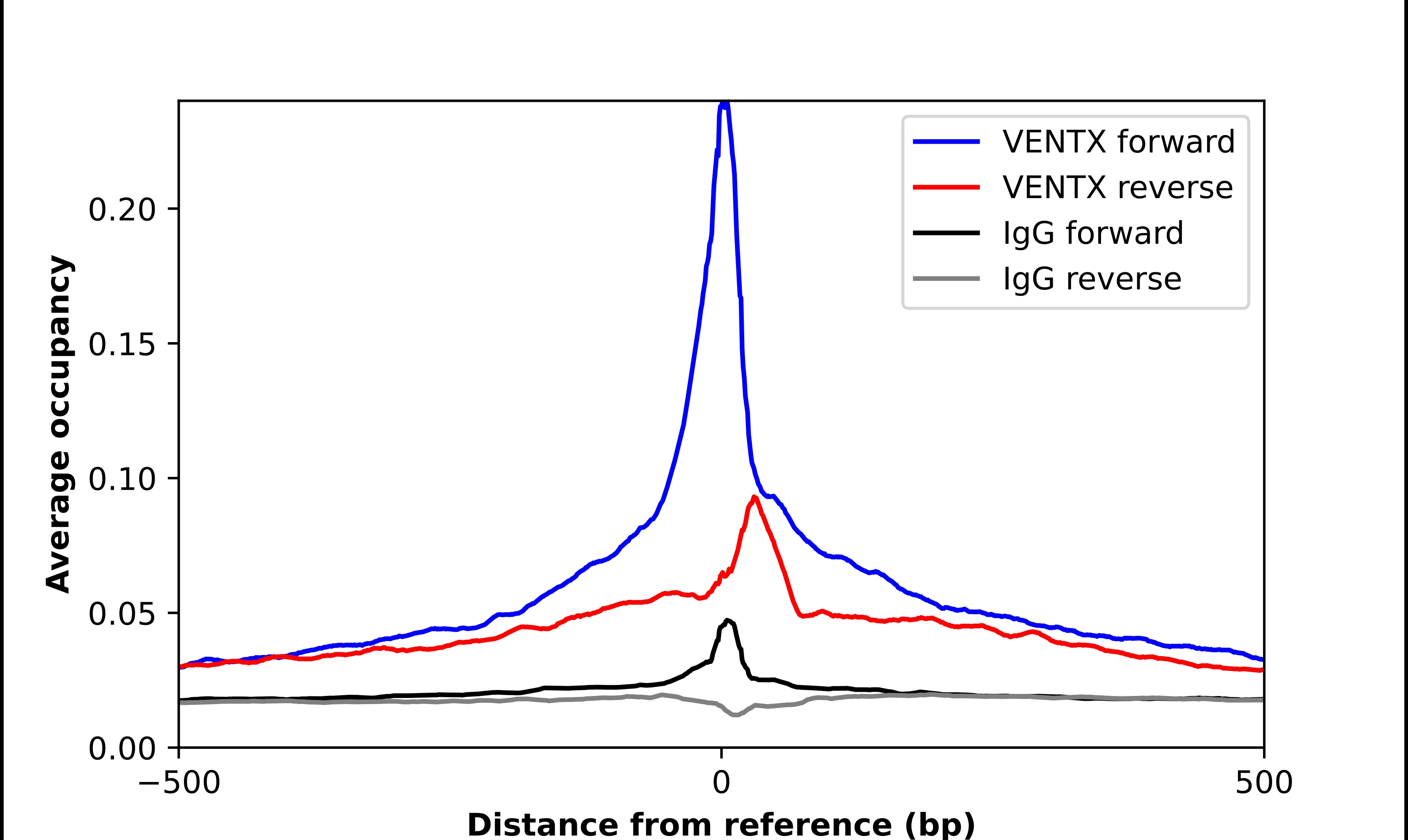 VENTX Antibody - BSA Free Chromatin Immunoprecipitation ChIP: VENTX Antibody - BSA Free